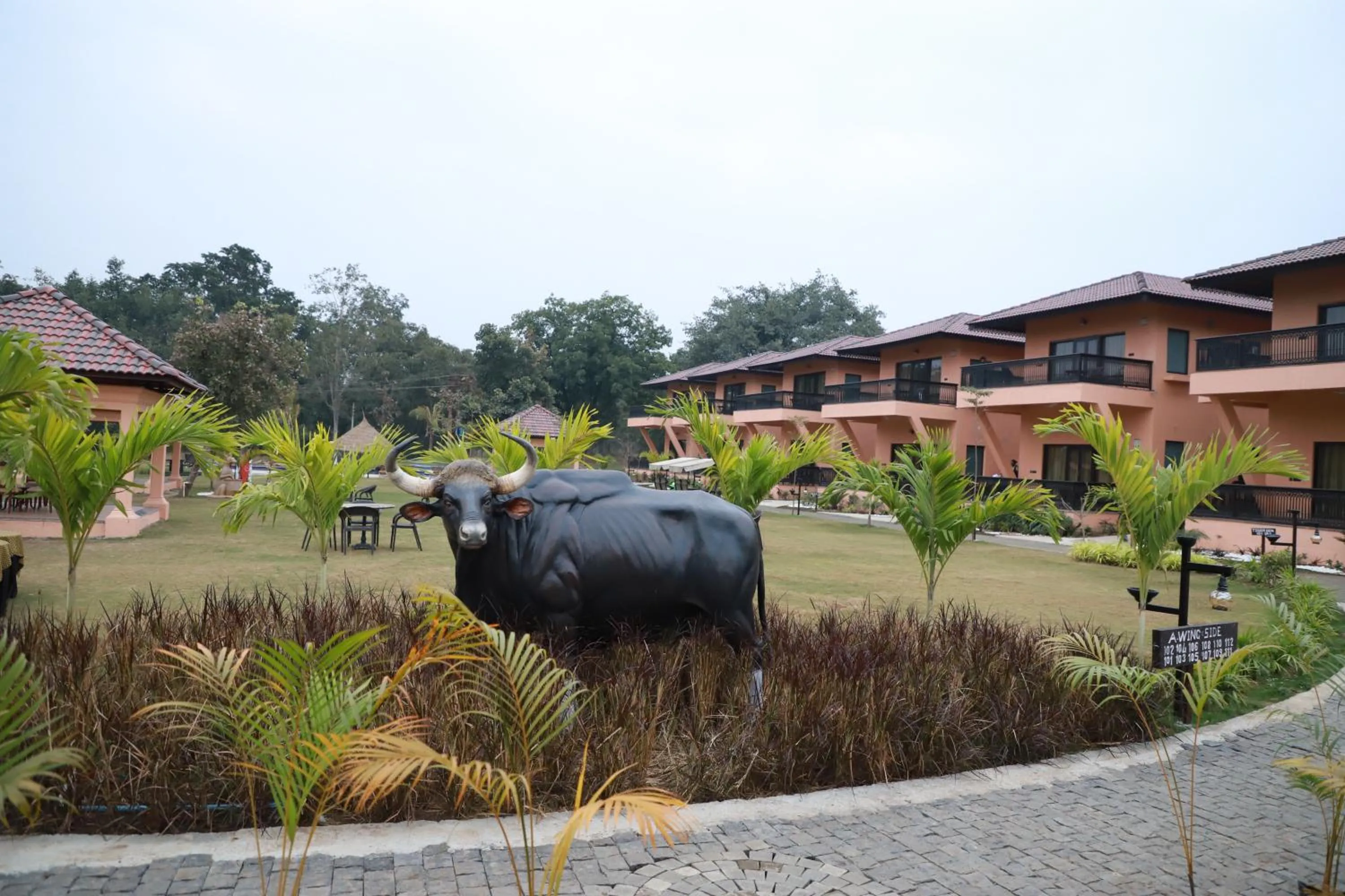 The Pench International