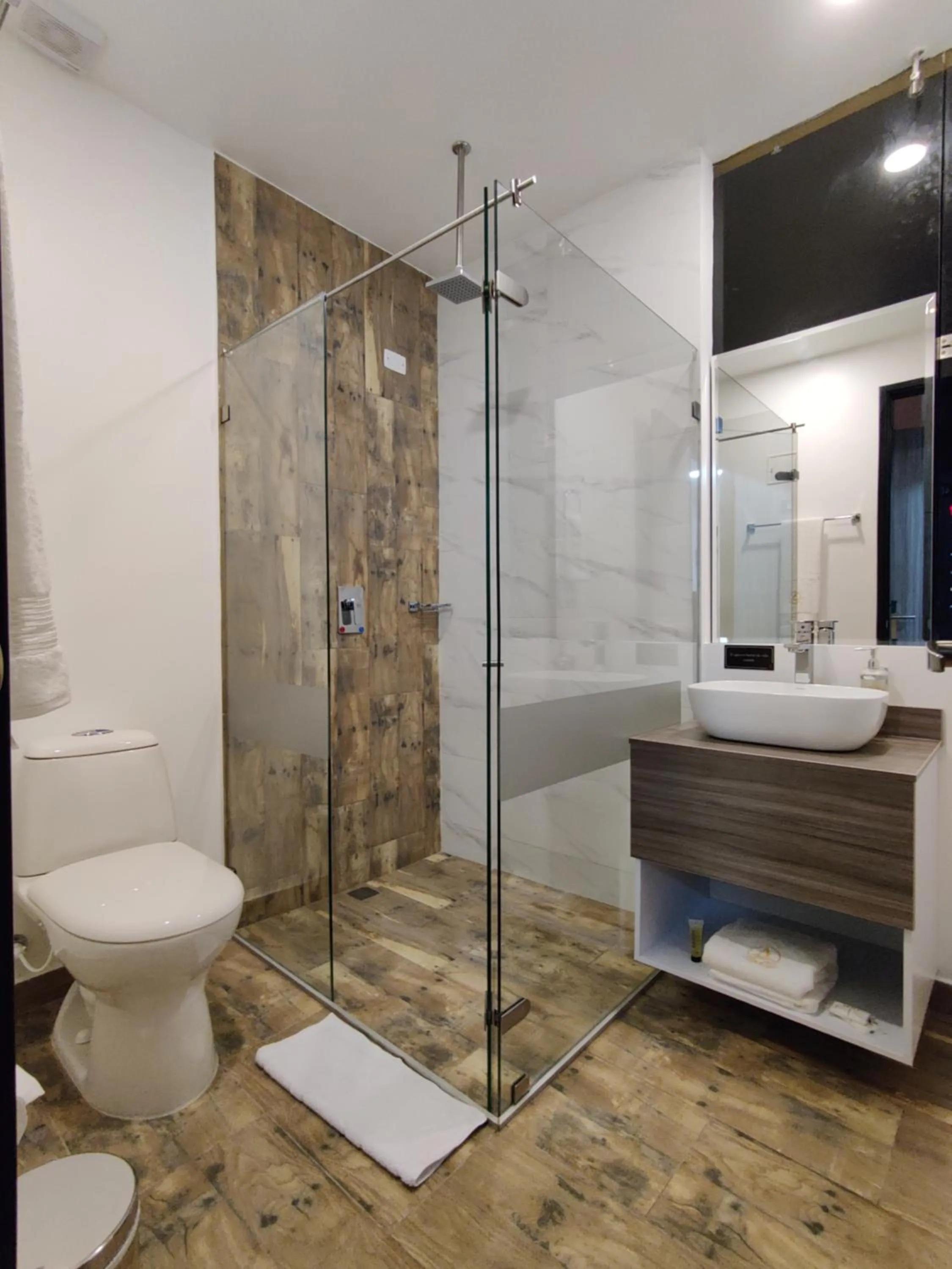 Bathroom in Hotel Aristo Gold