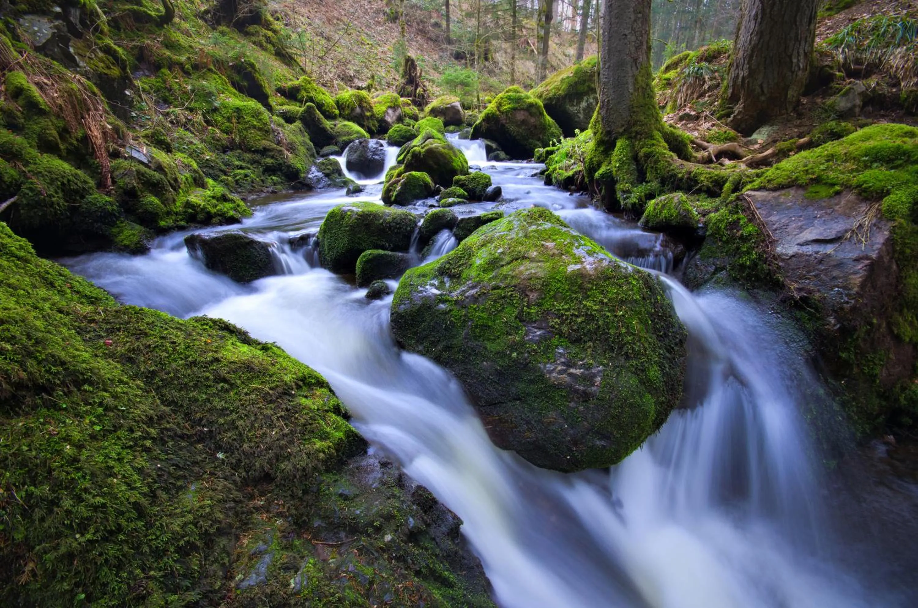 Hiking in Hotel Hofgut Sternen - Ravennaschlucht