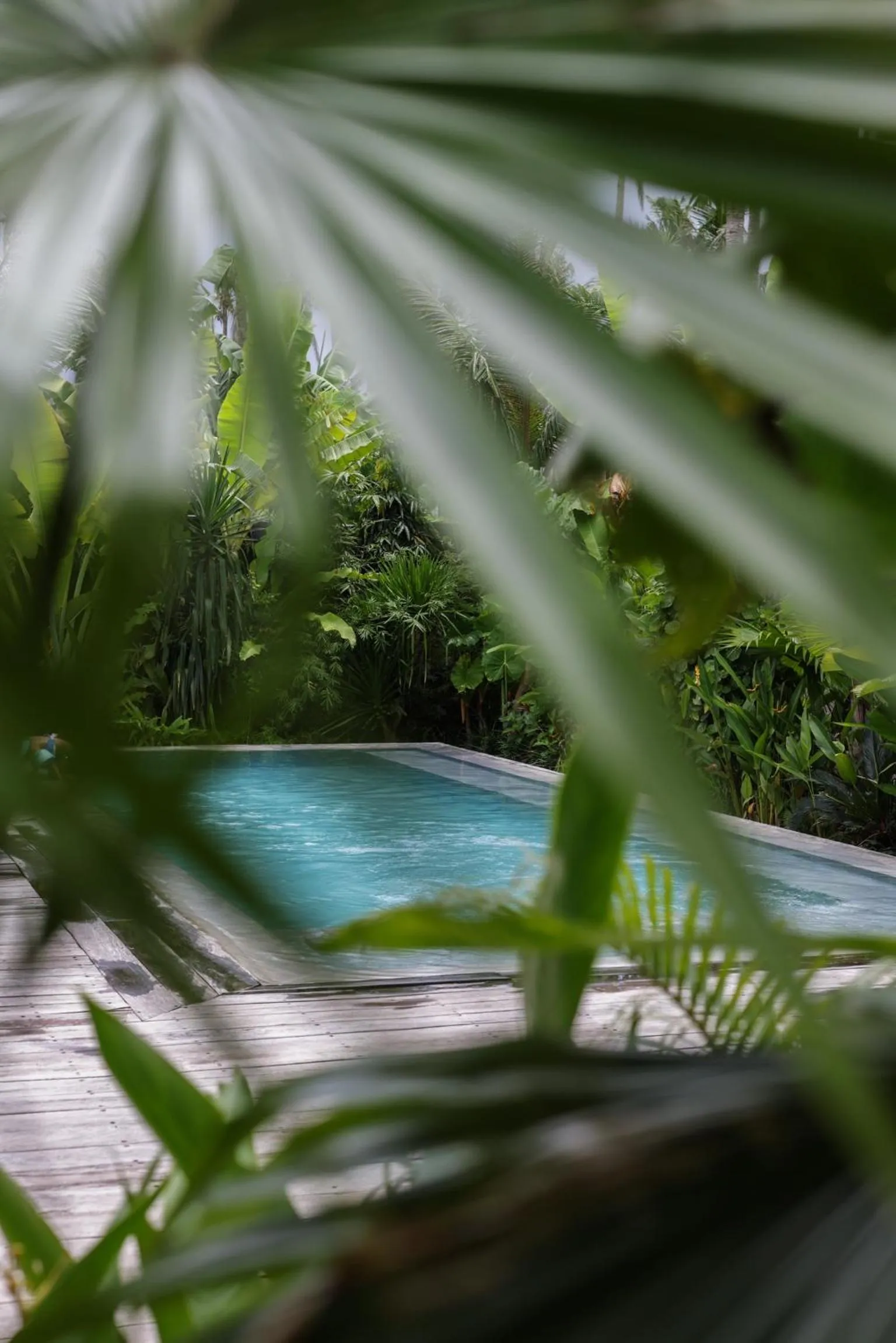 Swimming pool in Surfing Temple Hotel Boutique