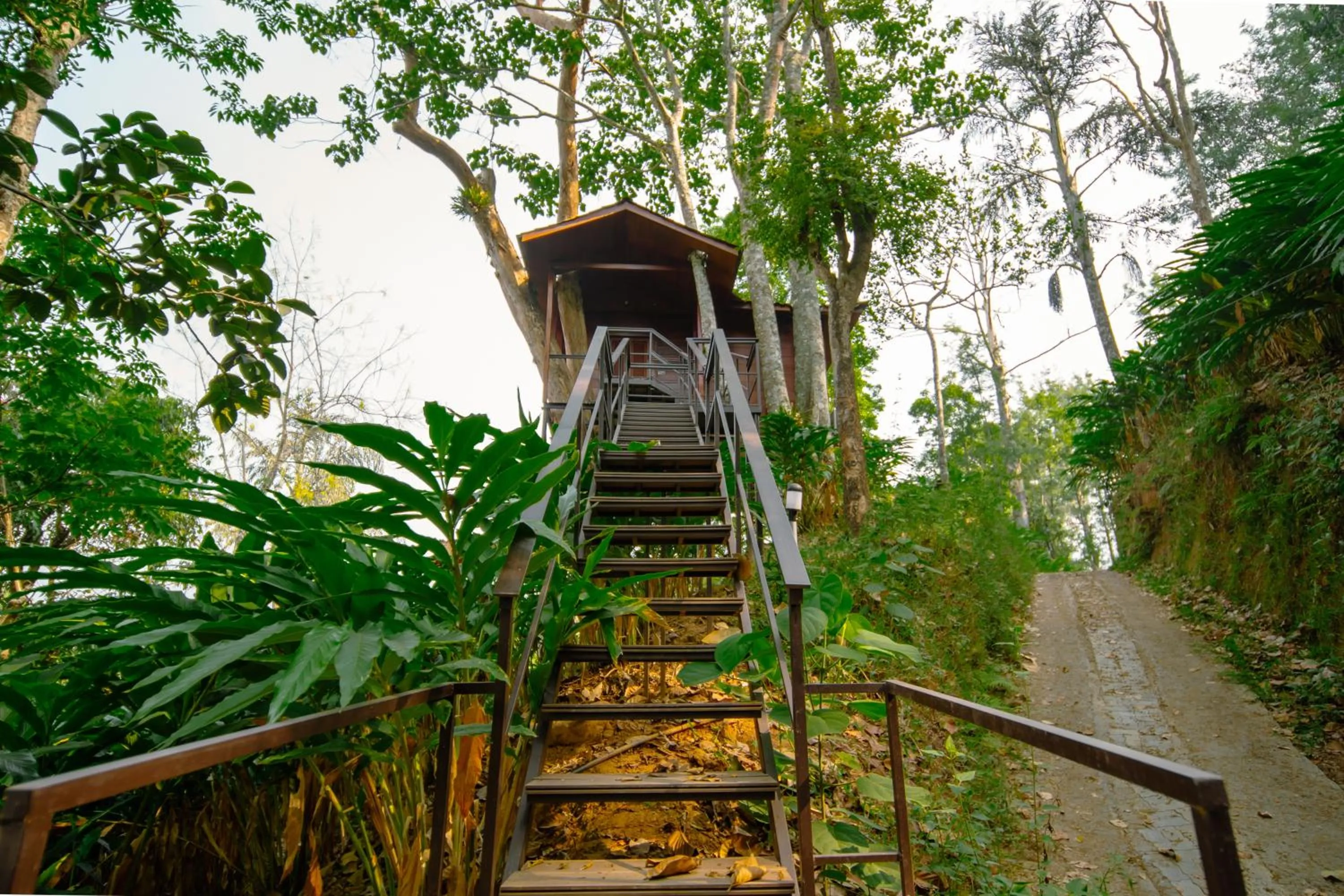 View (from property/room) in Southern Panorama Indriya Resorts & Spa