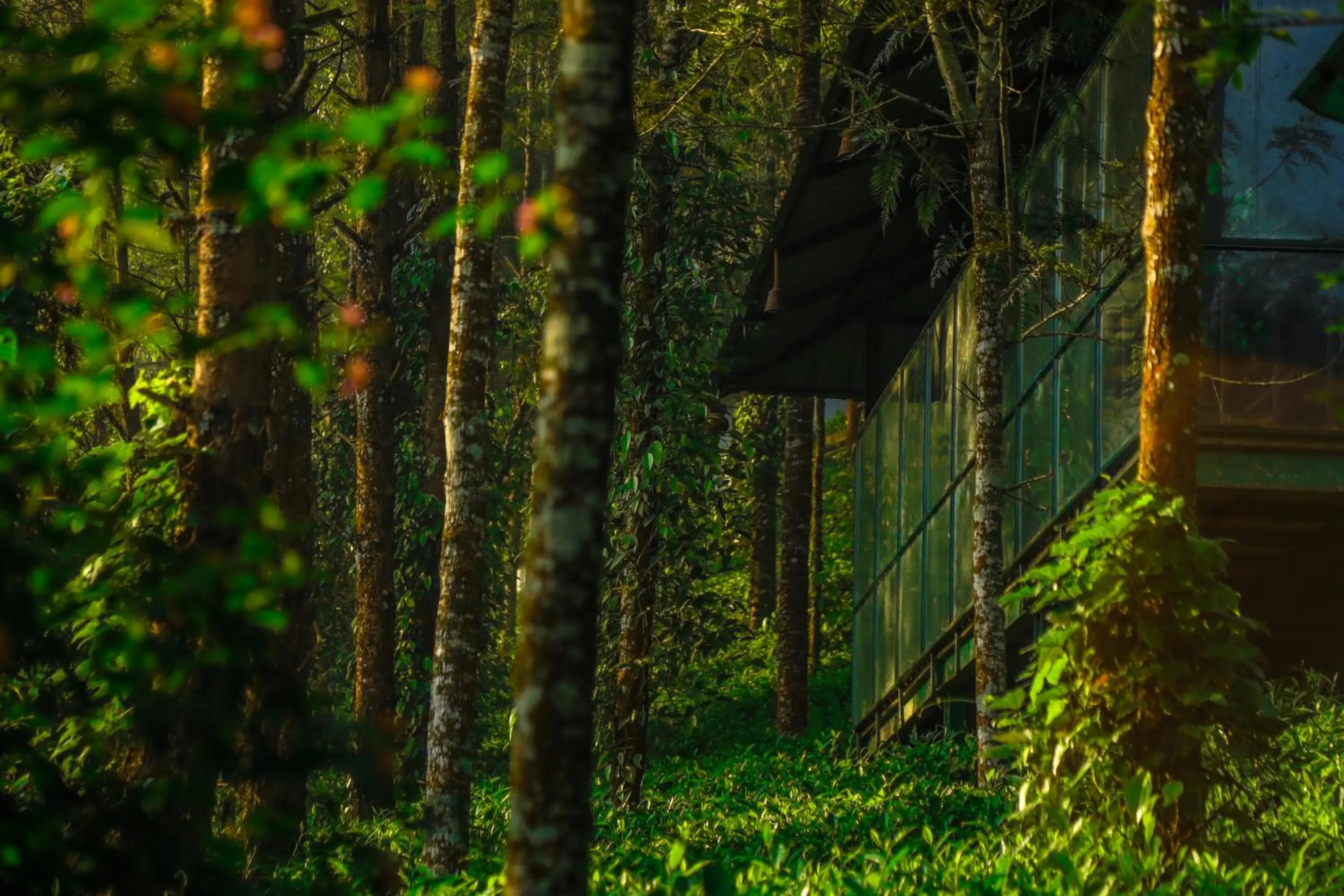 Property building in Southern Panorama Indriya Resorts & Spa