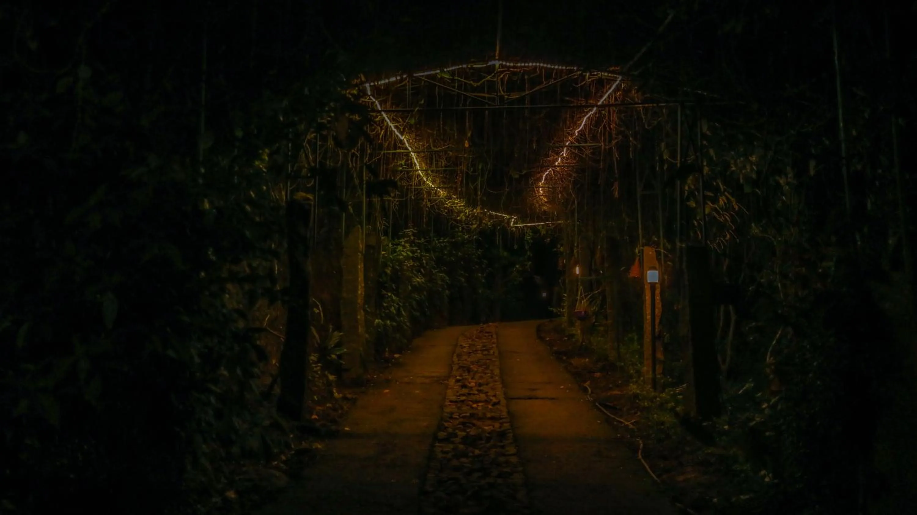 View (from property/room) in Southern Panorama Indriya Resorts & Spa