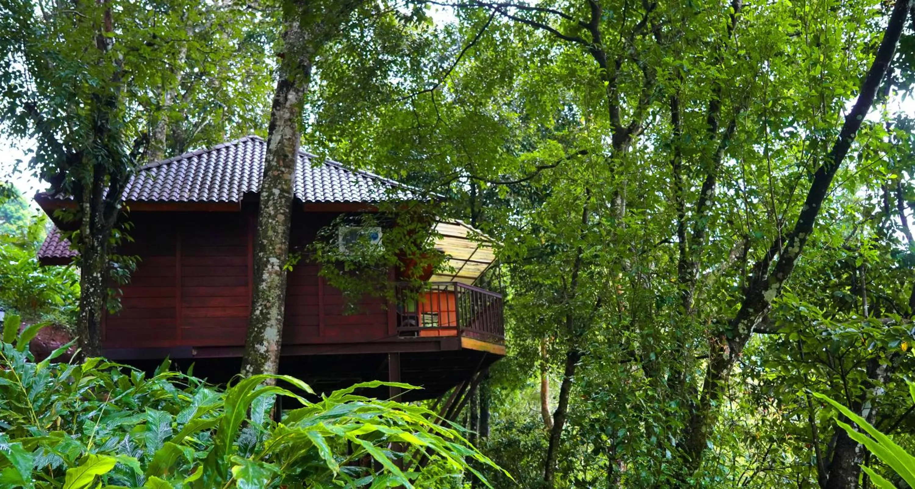 View (from property/room) in Southern Panorama Indriya Resorts & Spa