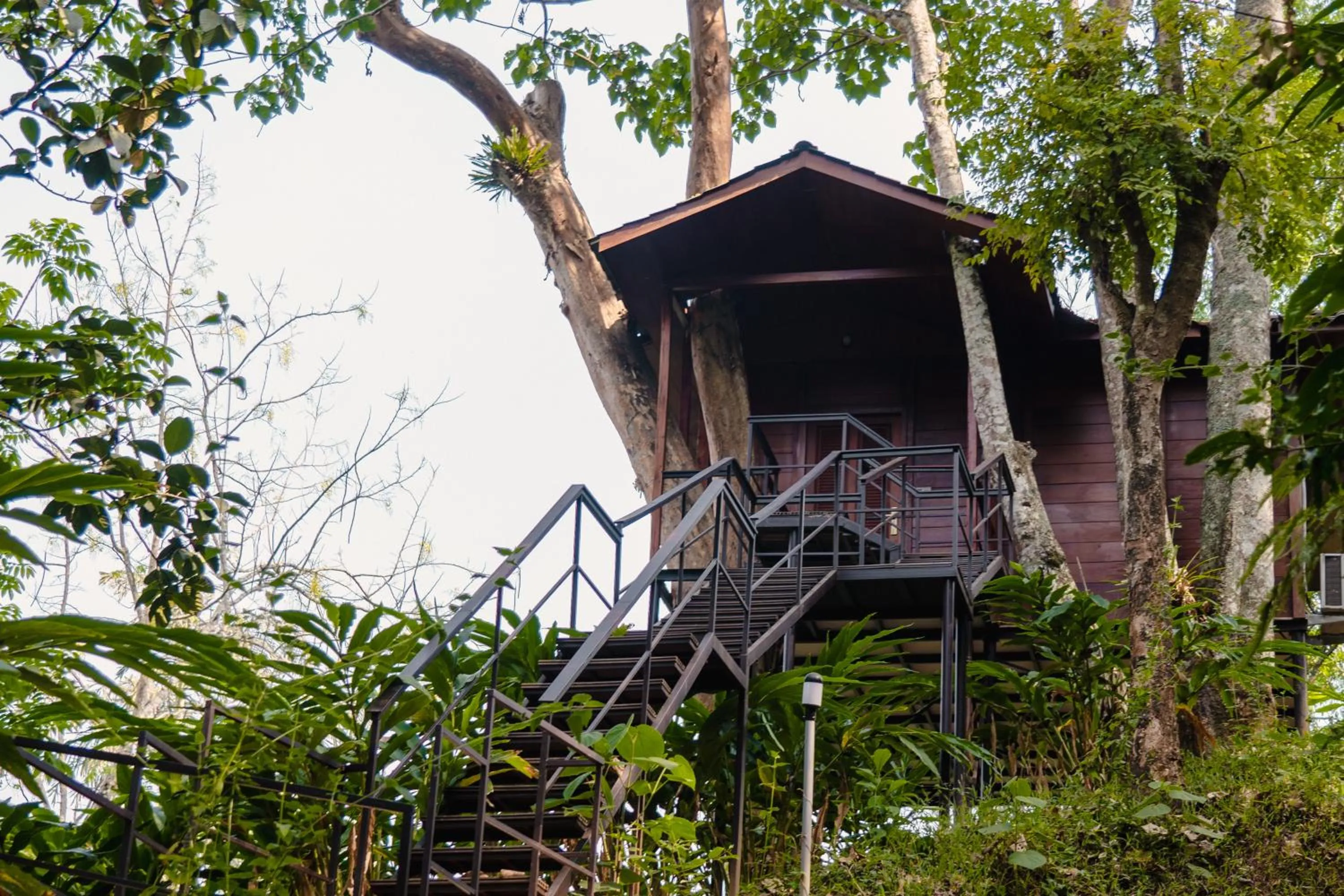 View (from property/room) in Southern Panorama Indriya Resorts & Spa