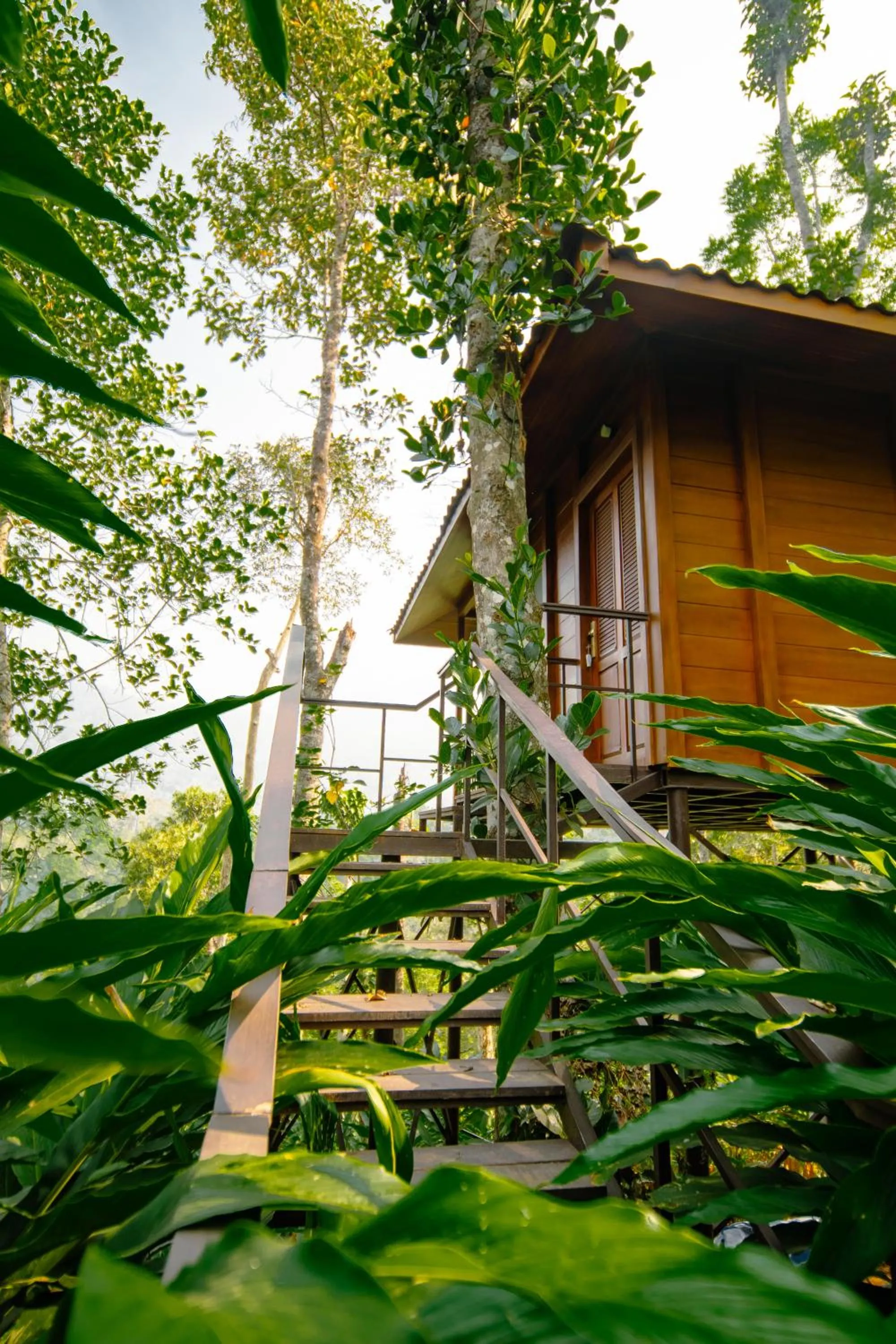 View (from property/room) in Southern Panorama Indriya Resorts & Spa