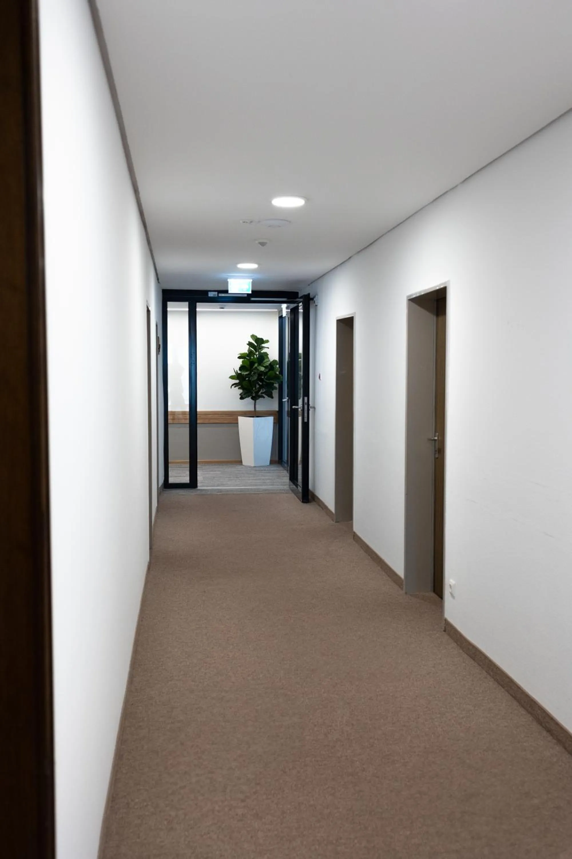 Property building in Hotel Kübler