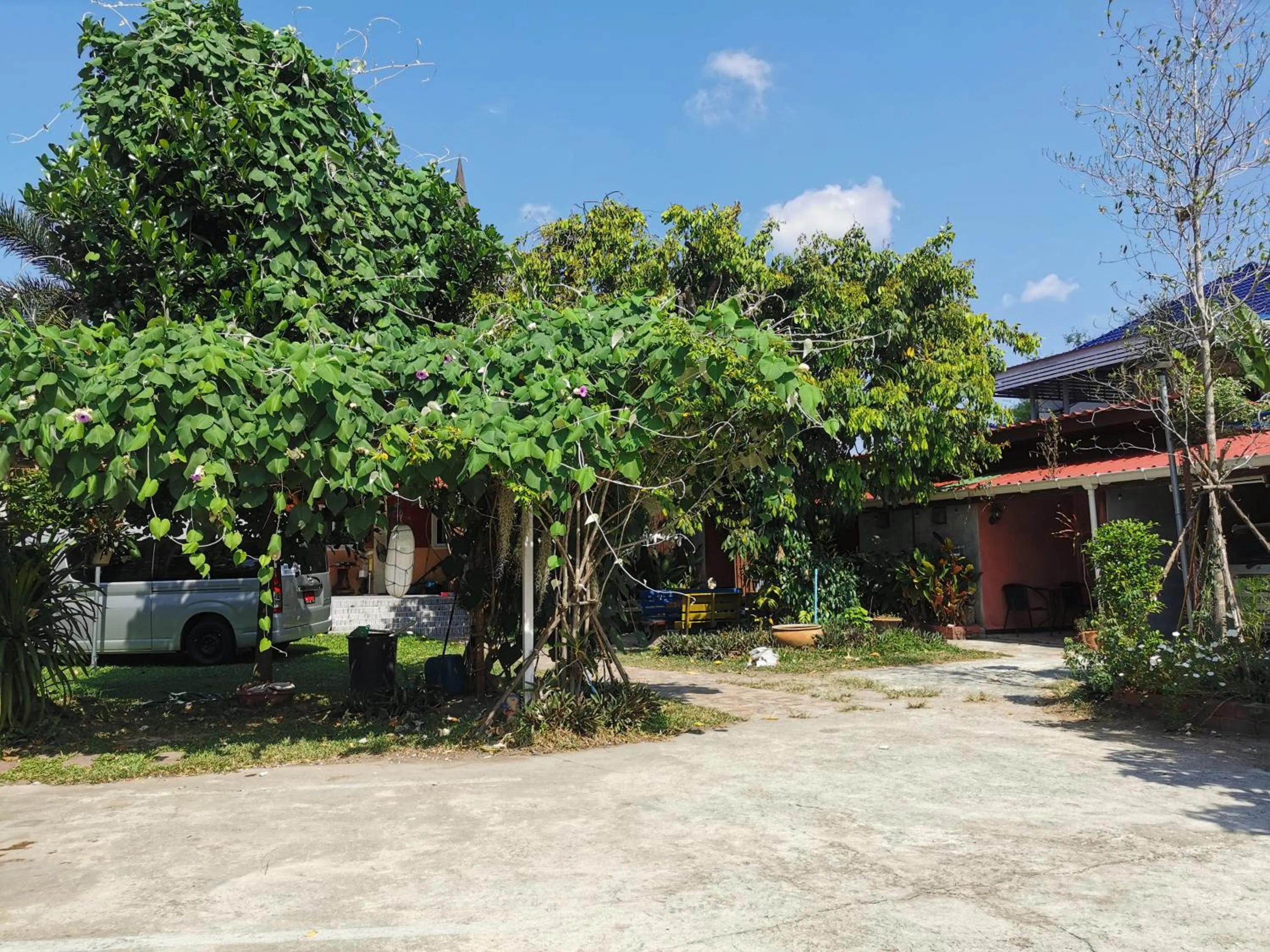 Garden in Lek Homestay