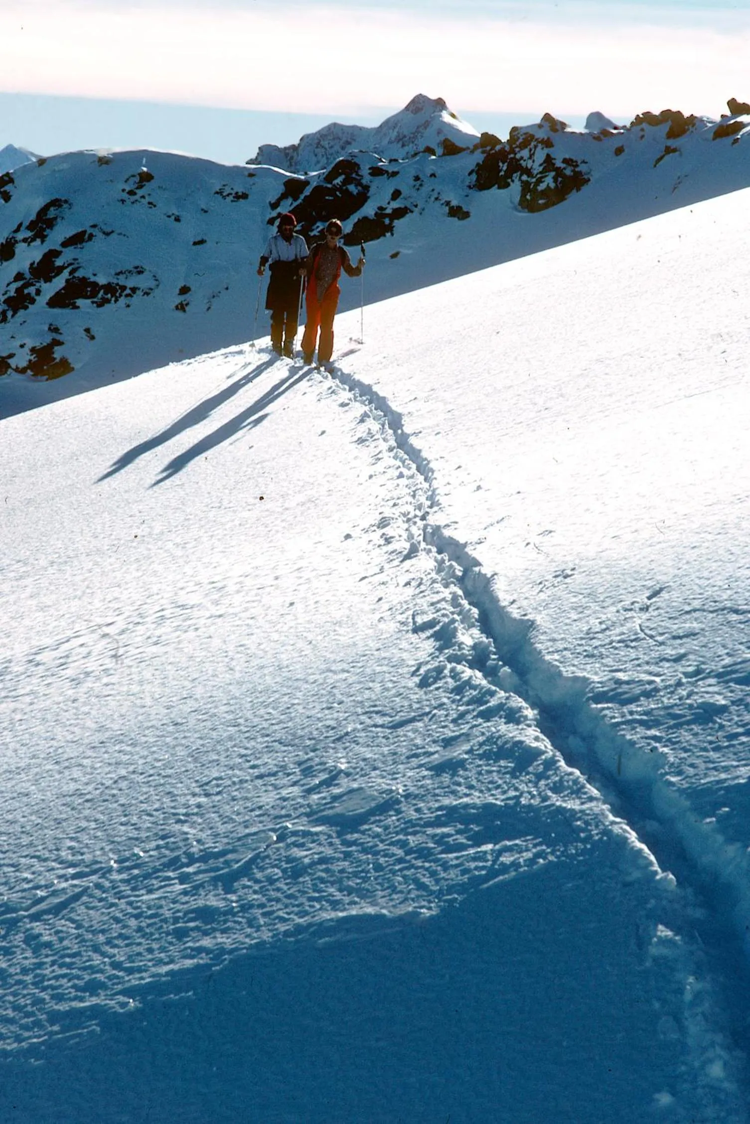 Natural landscape in Hotel Solaria