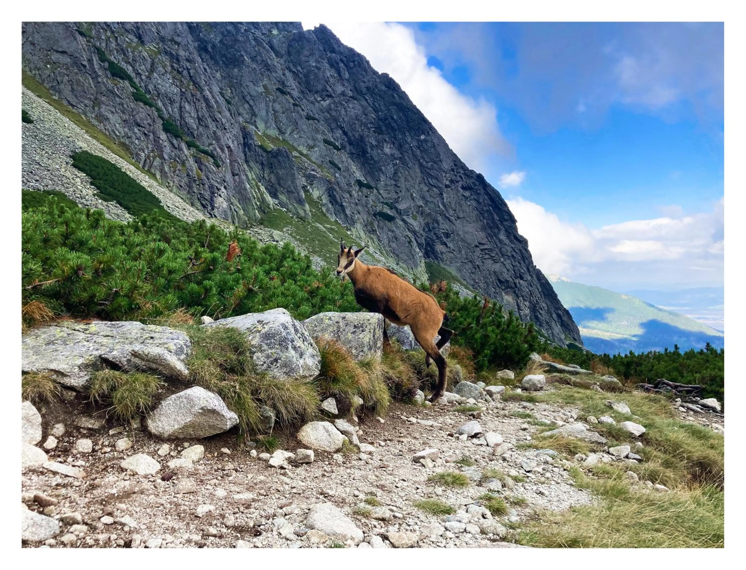 Nearby landmark in Willa Danielka