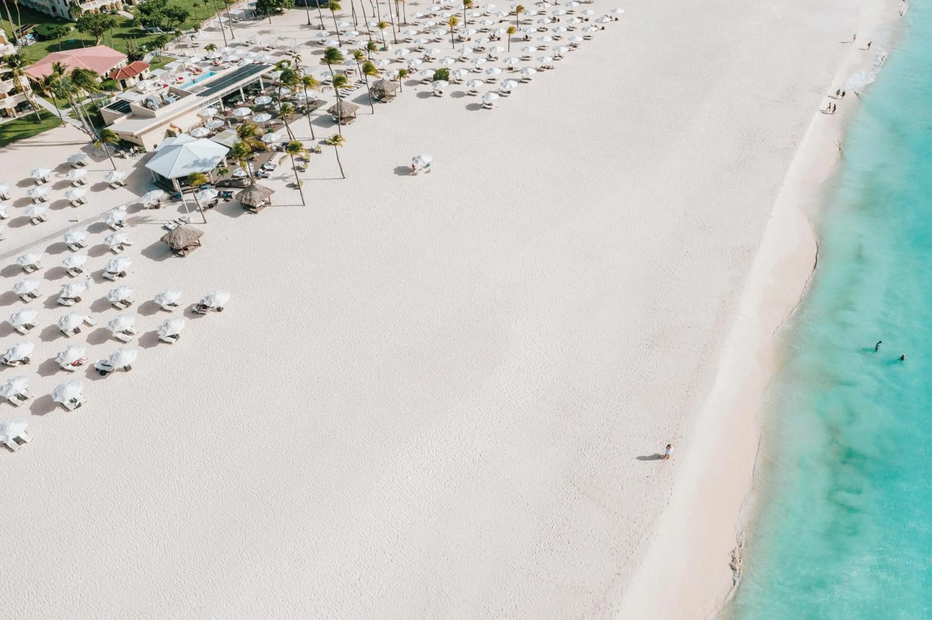 Beach in Bucuti & Tara Boutique Beach Resort - Adult Only