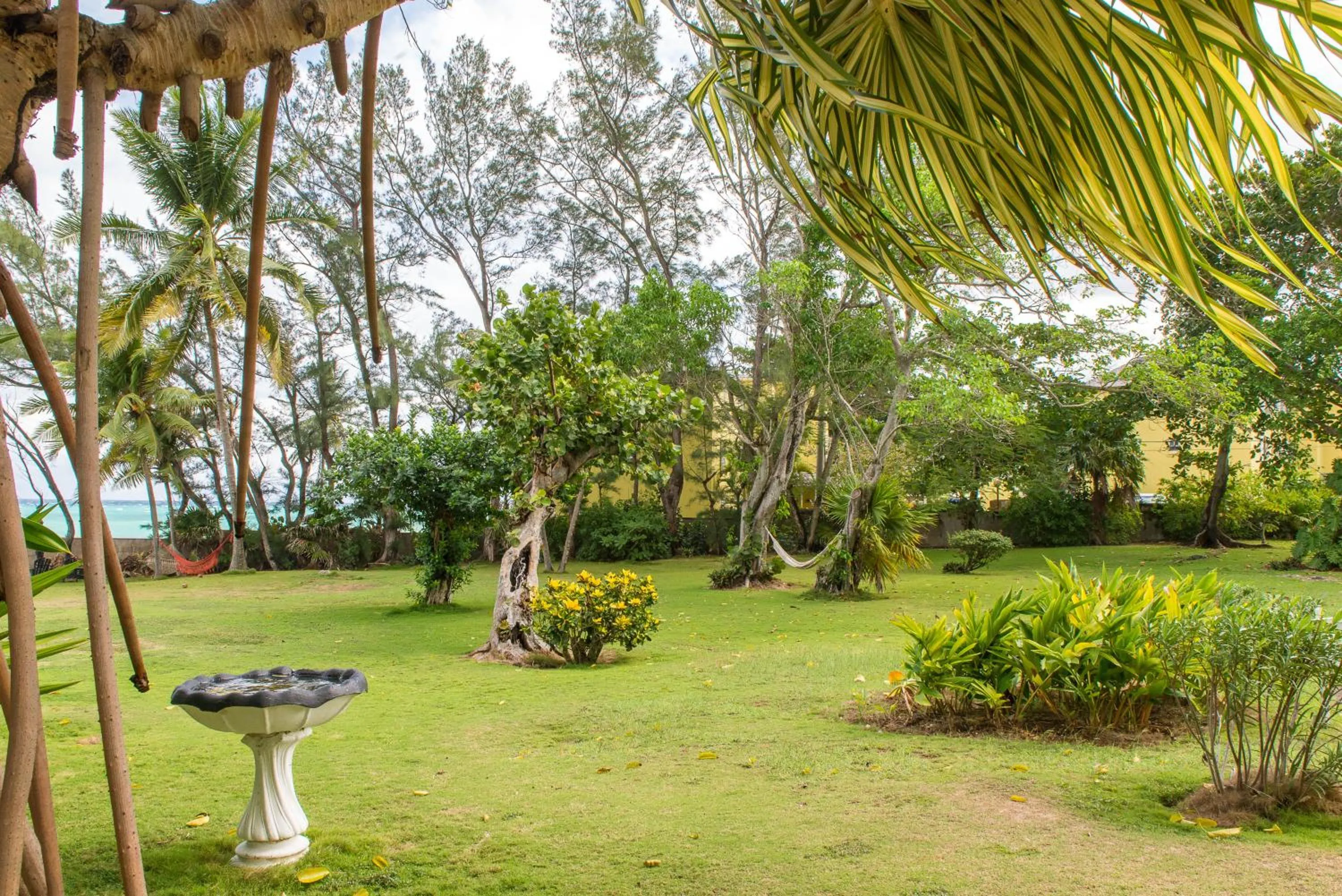 Garden in Villa Viento