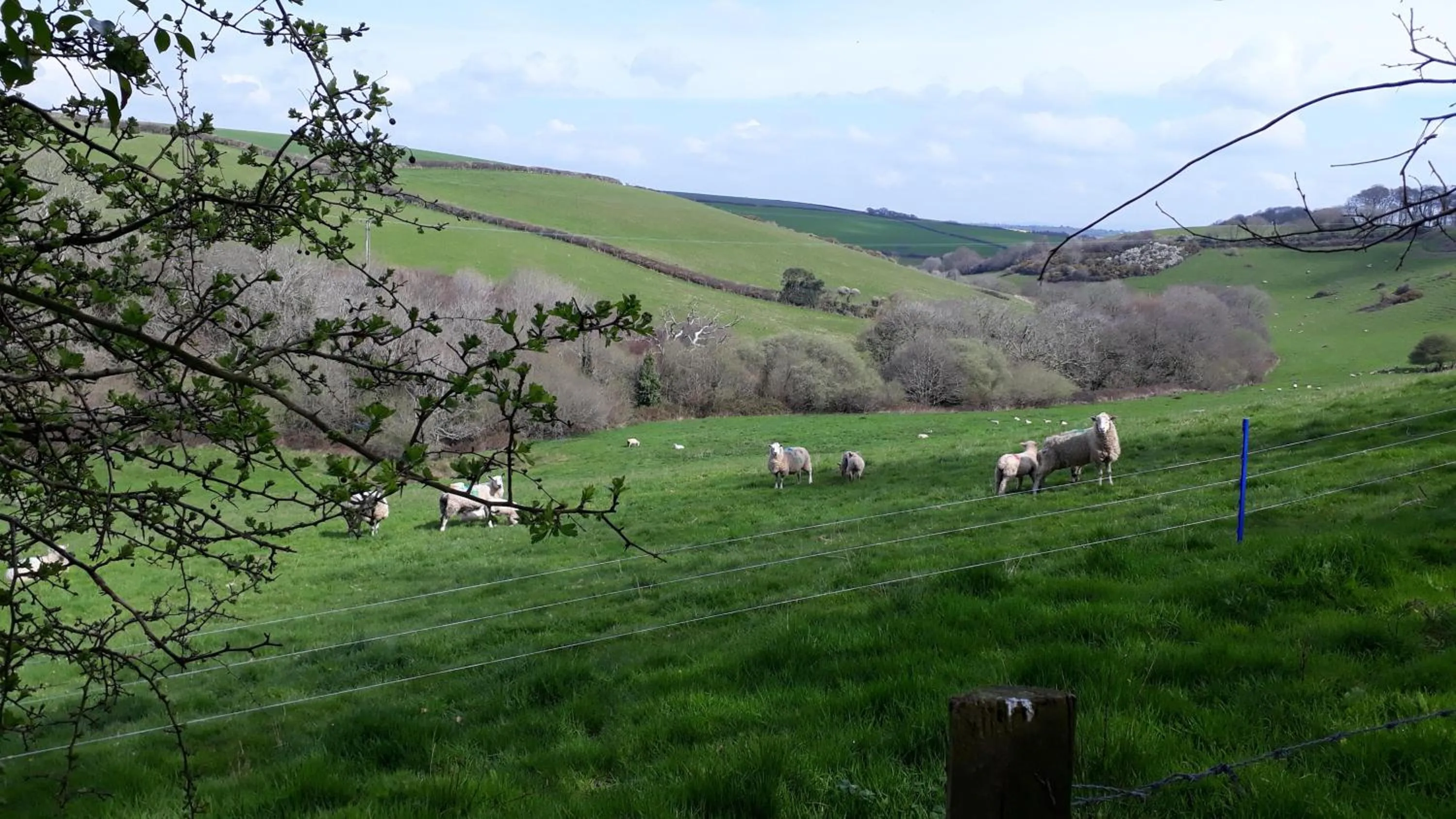 View (from property/room) in The Liscawn
