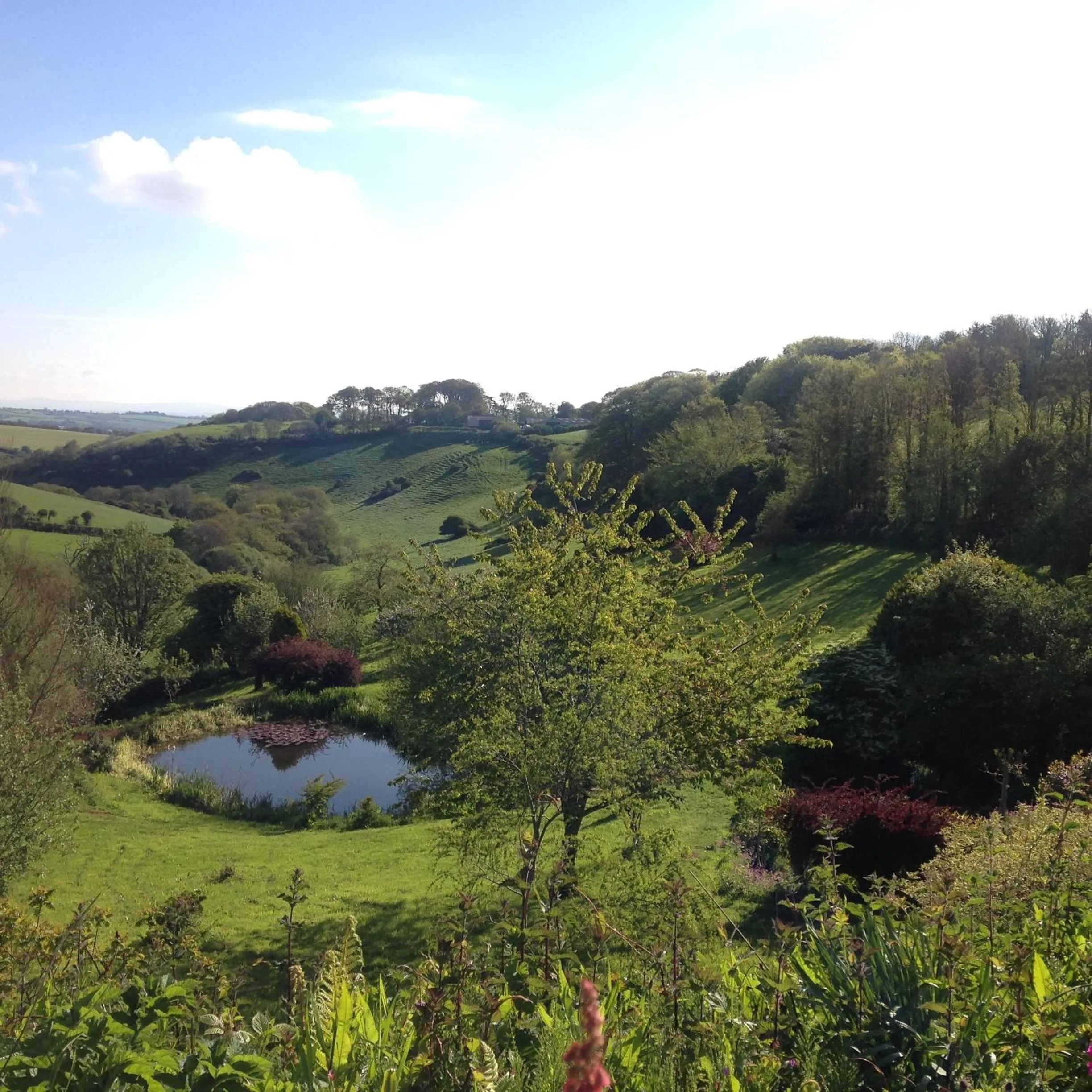 View (from property/room) in The Liscawn