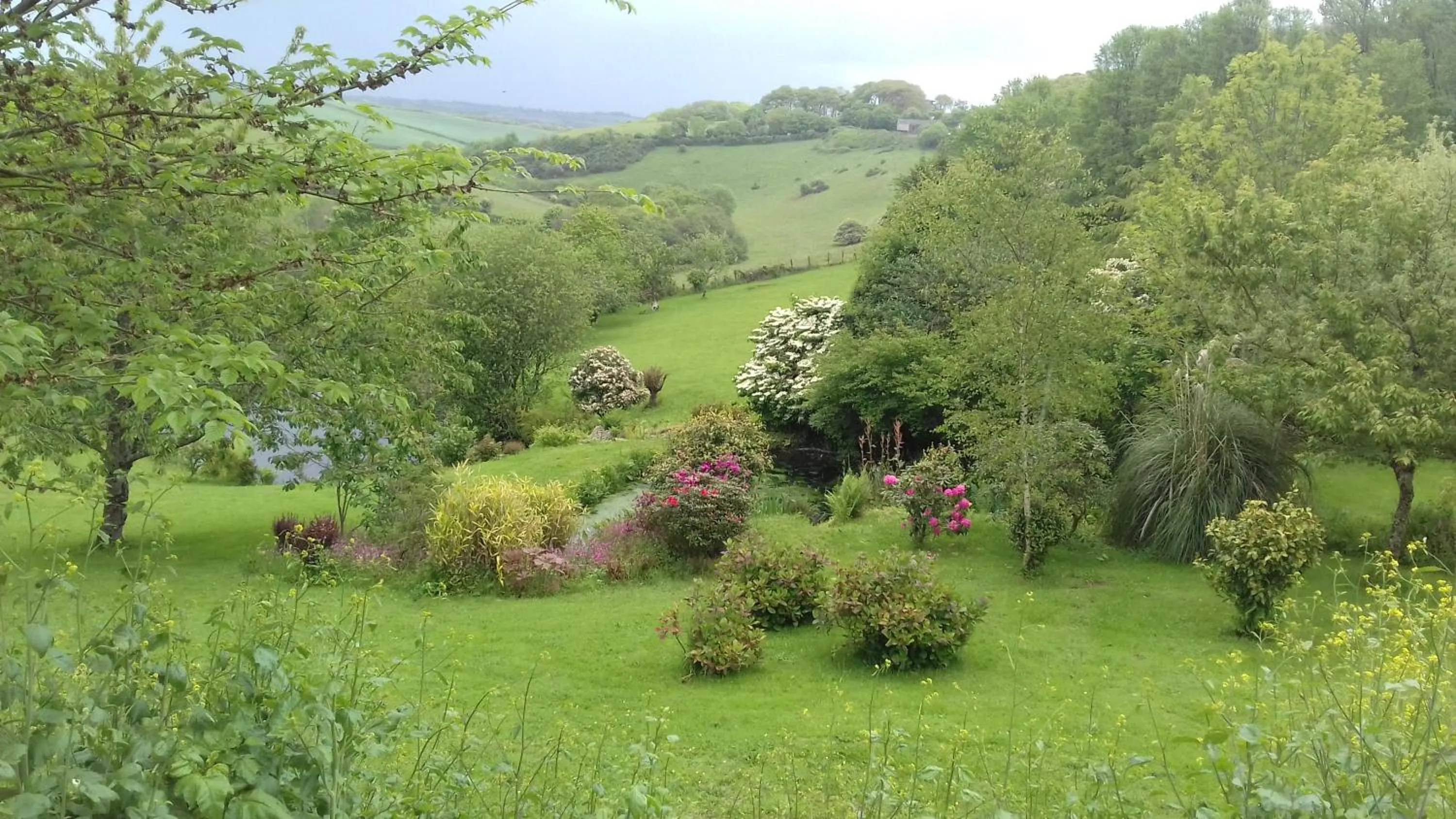 Garden in The Liscawn