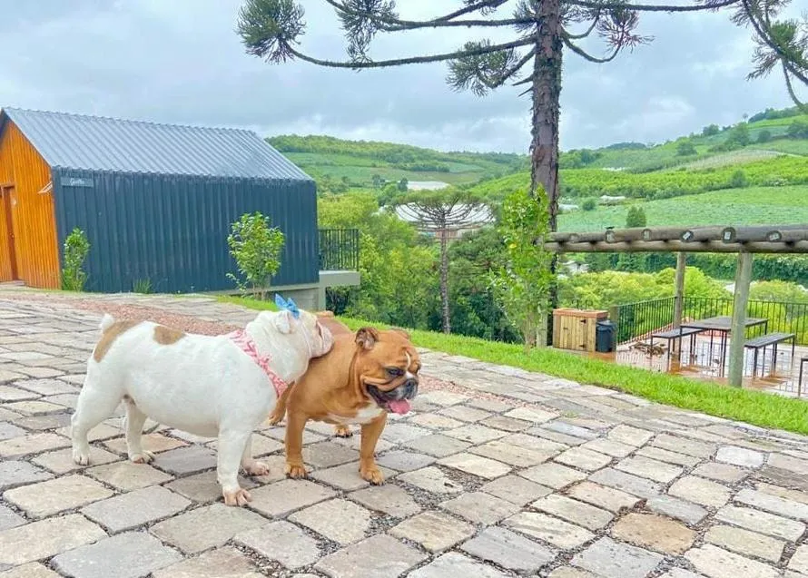 Cappio Pousada e Lazer