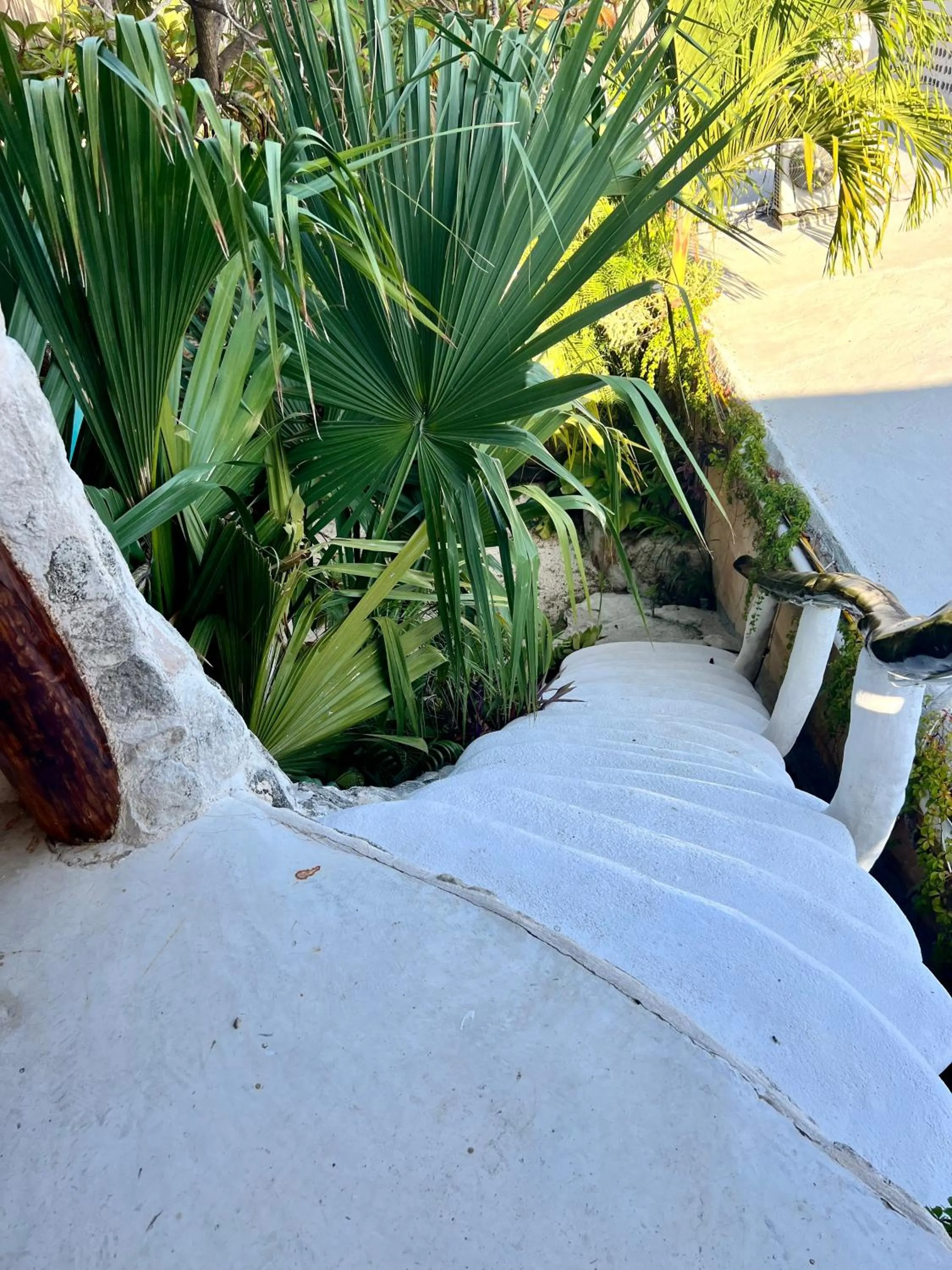 Property building in La Quinta Orquídea