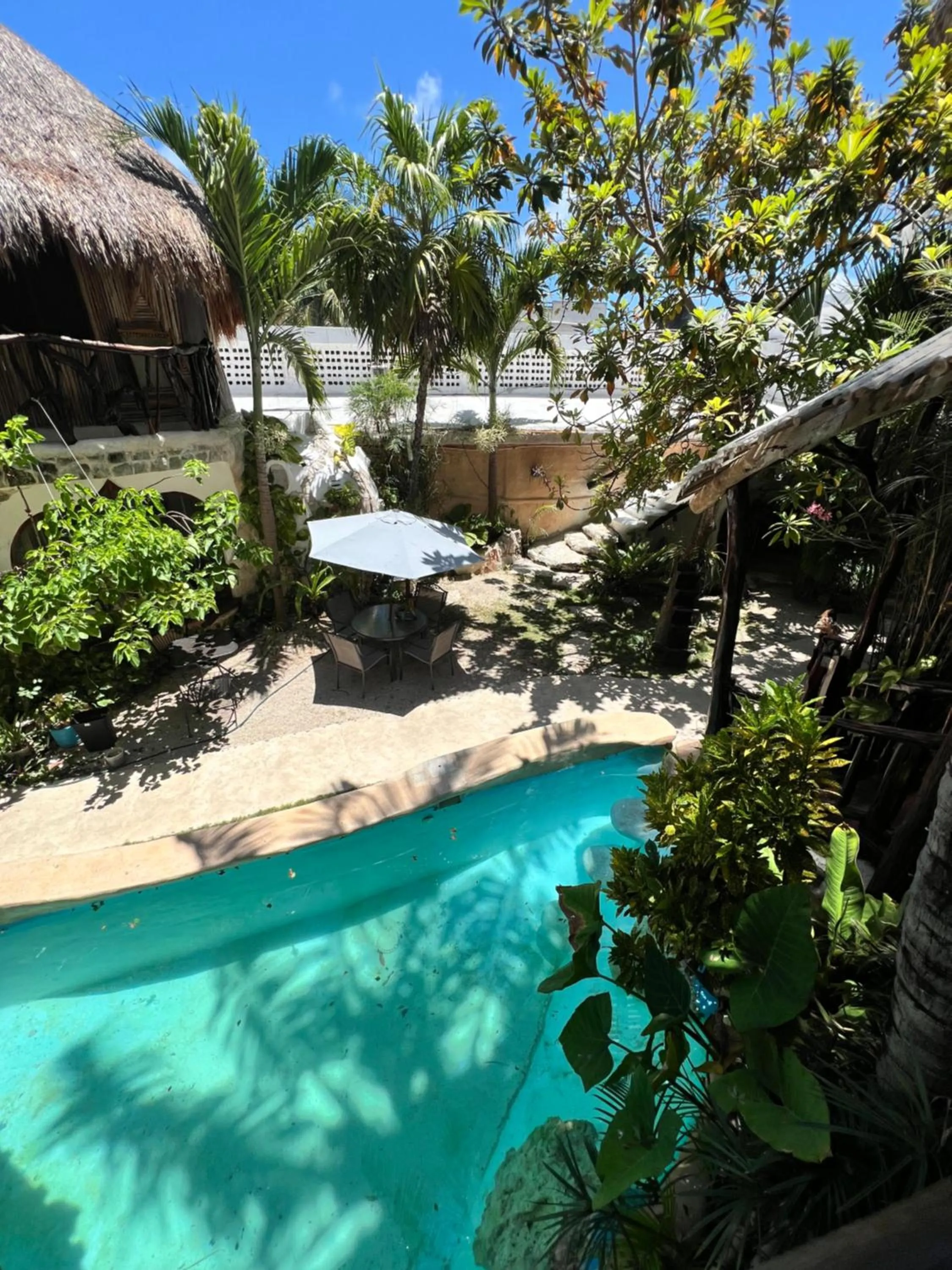 Swimming pool in La Quinta Orquídea