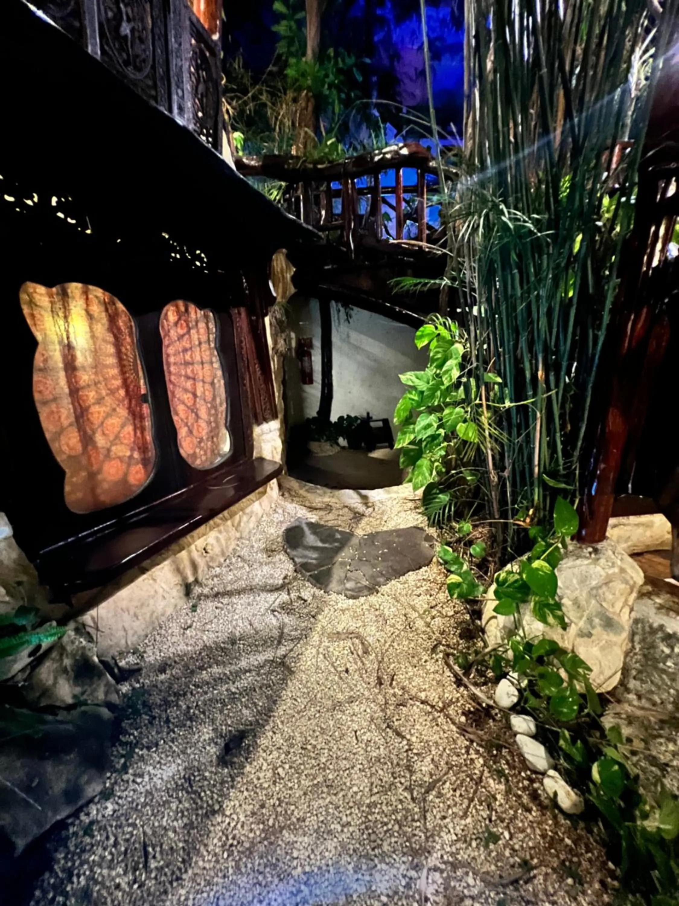 Night in La Quinta Orquídea