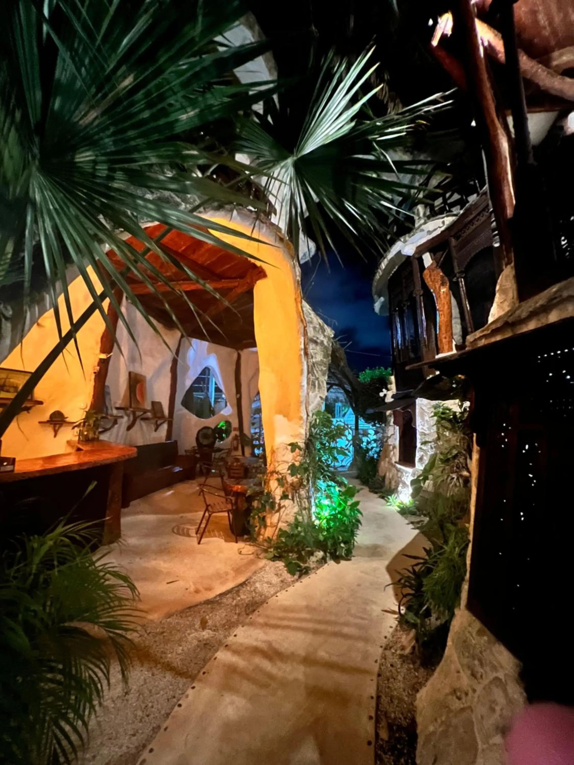 Night in La Quinta Orquídea