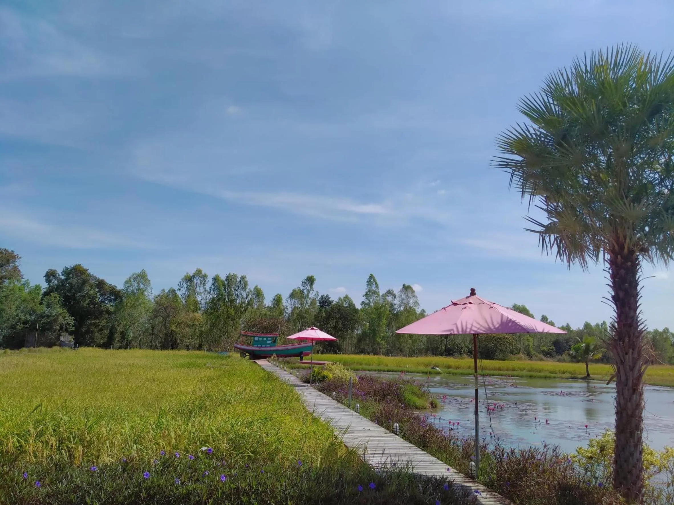 View (from property/room) in wuadaeng villa