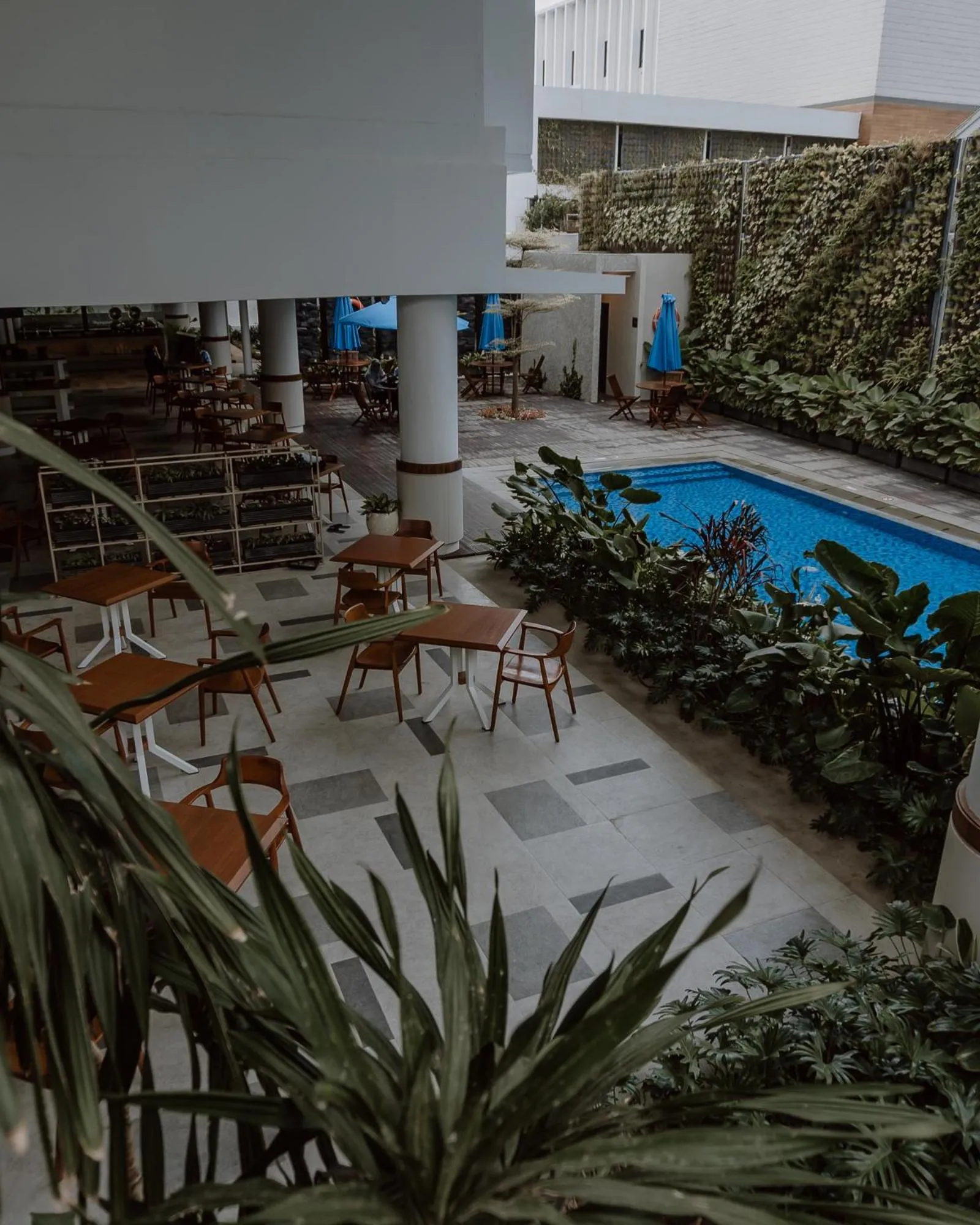 Swimming pool in Rayz UMM Hotel Malang