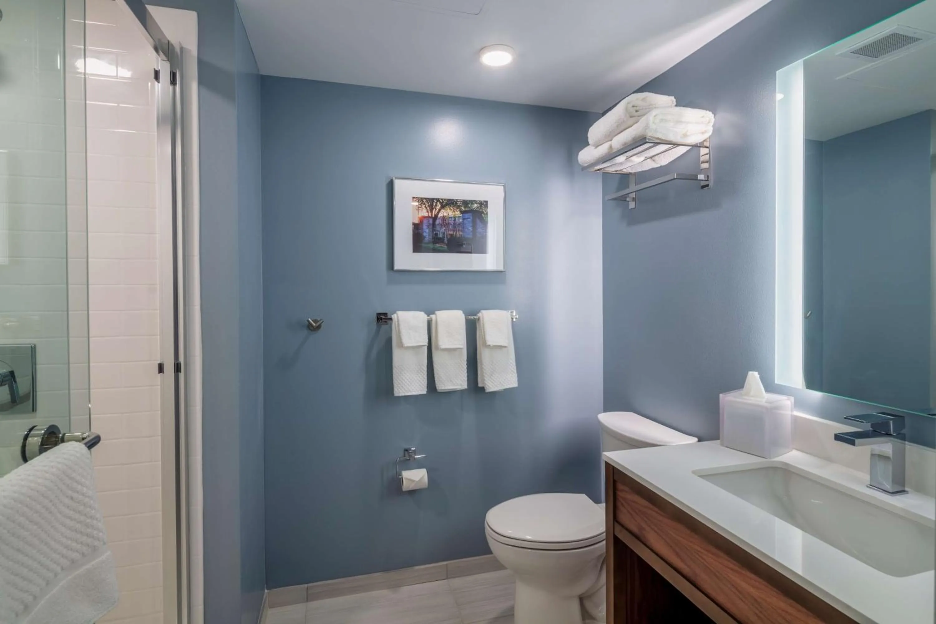 Bathroom in Scholar State College, Tapestry Collection by Hilton