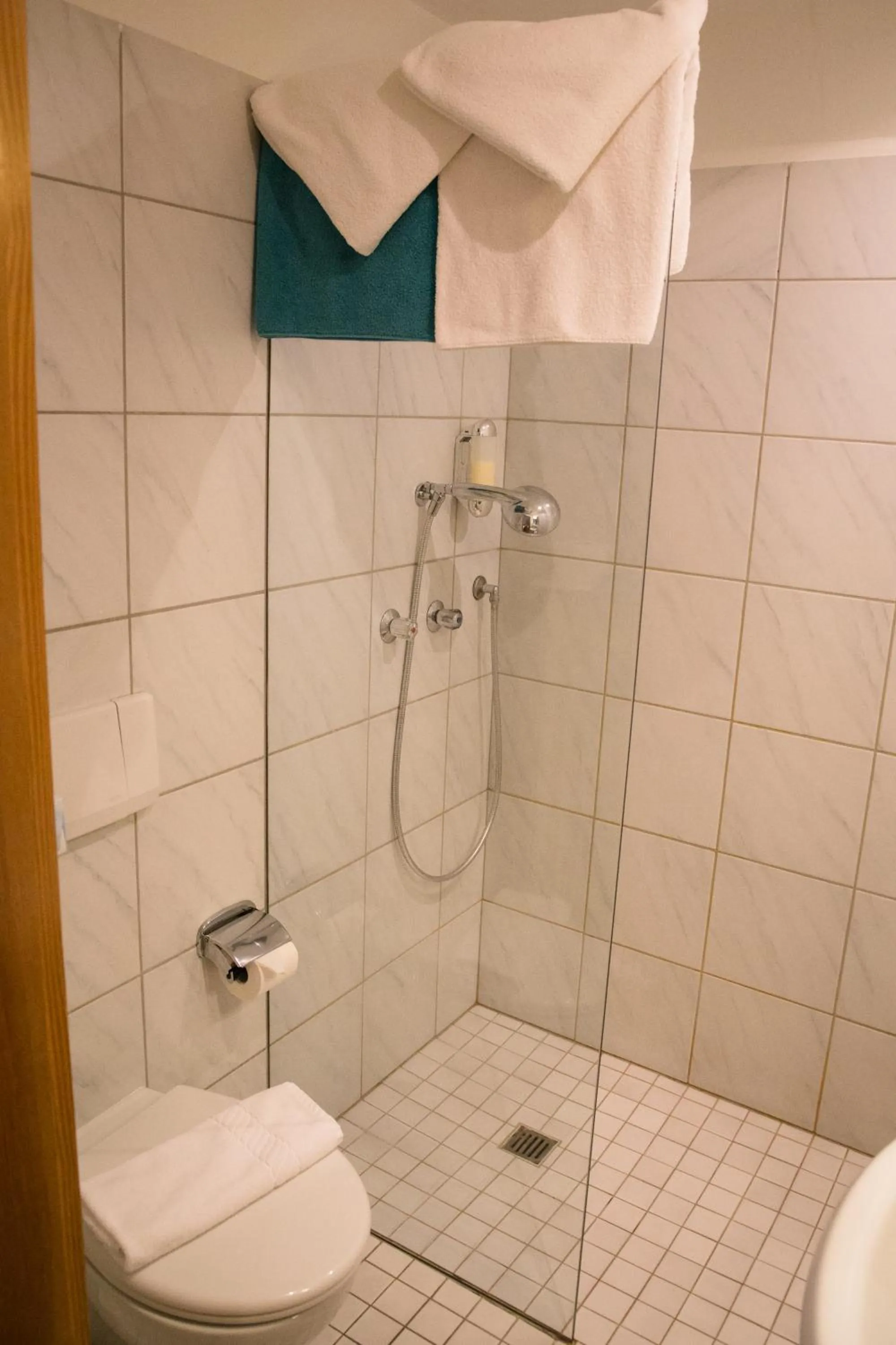 Shower in Hotel Gerberhaus