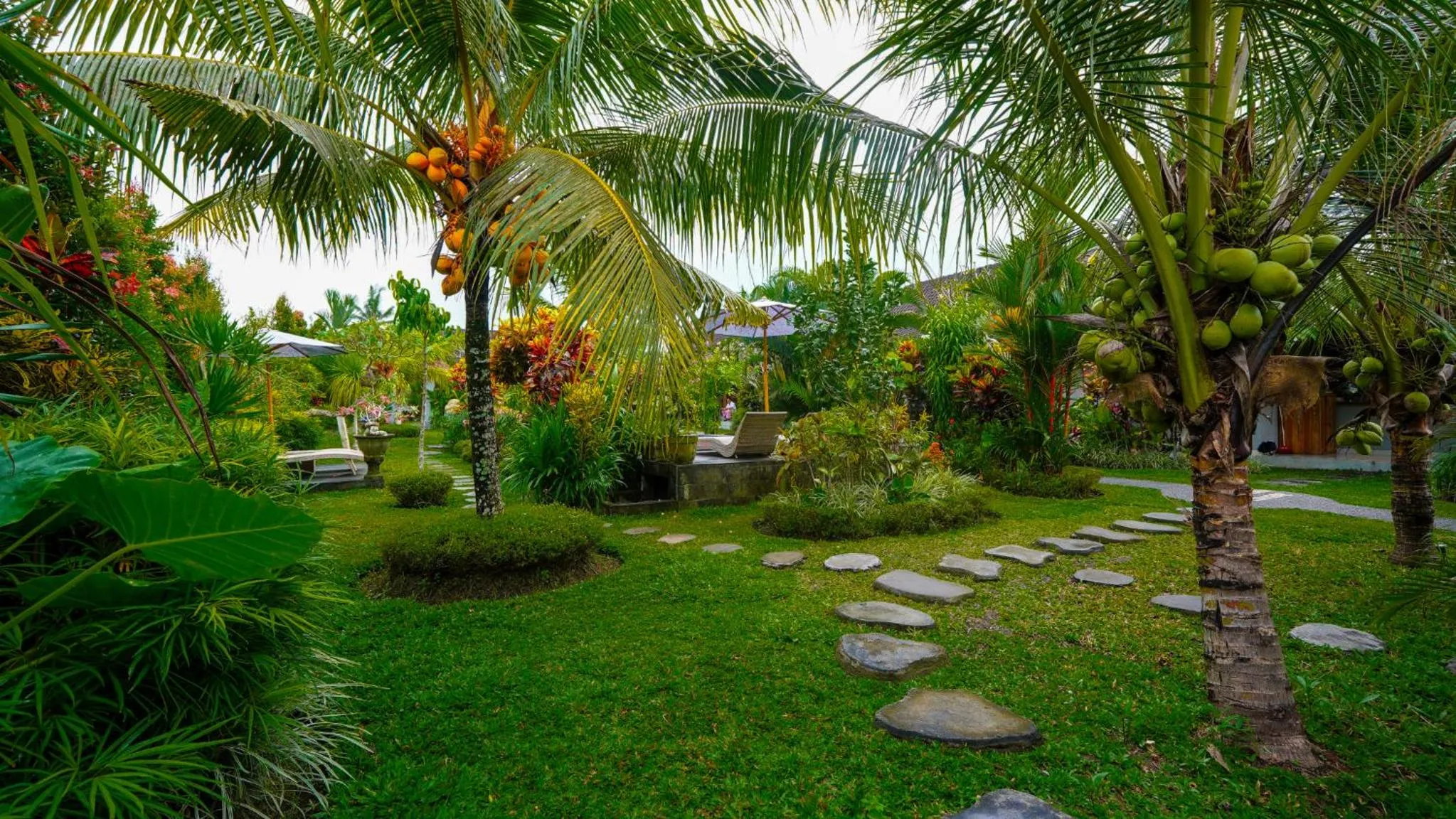 Garden in Green Coconut Cottage