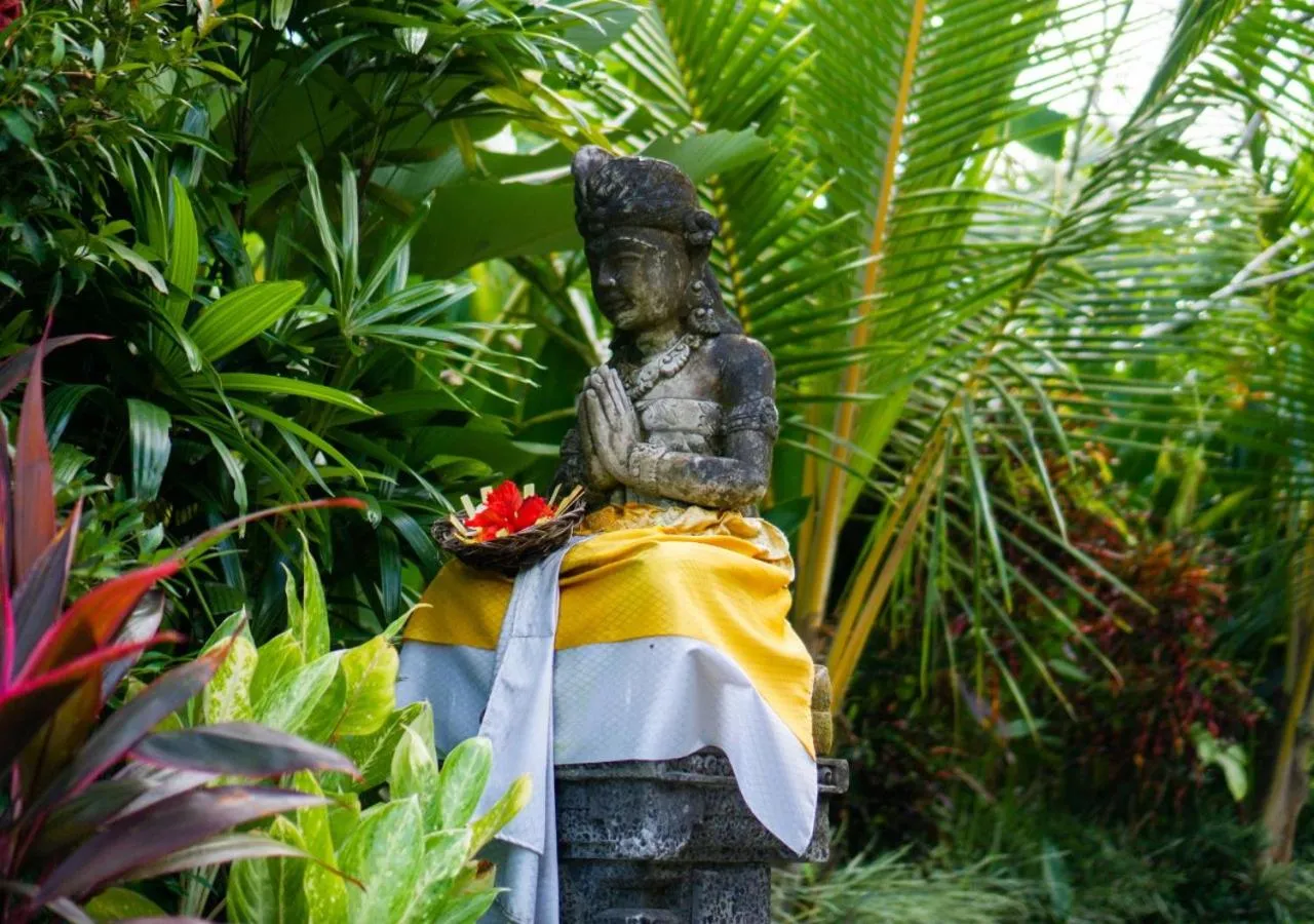 Garden in Green Coconut Cottage