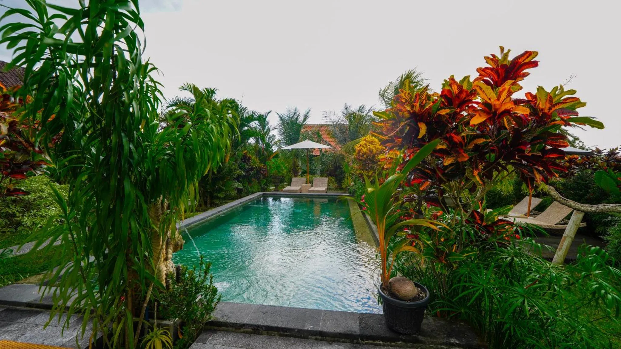 Garden view in Green Coconut Cottage