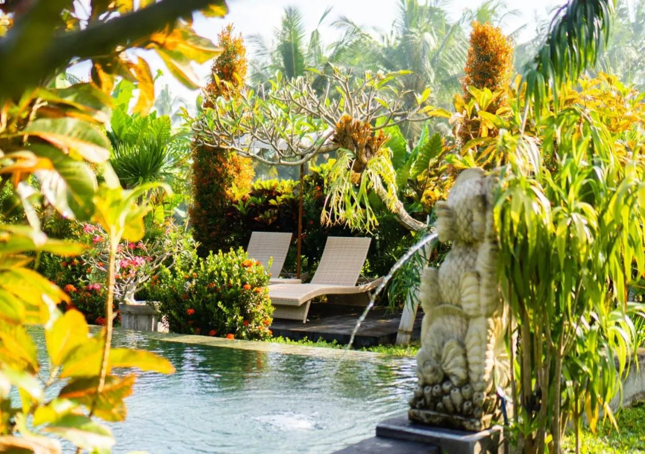 Day in Green Coconut Cottage