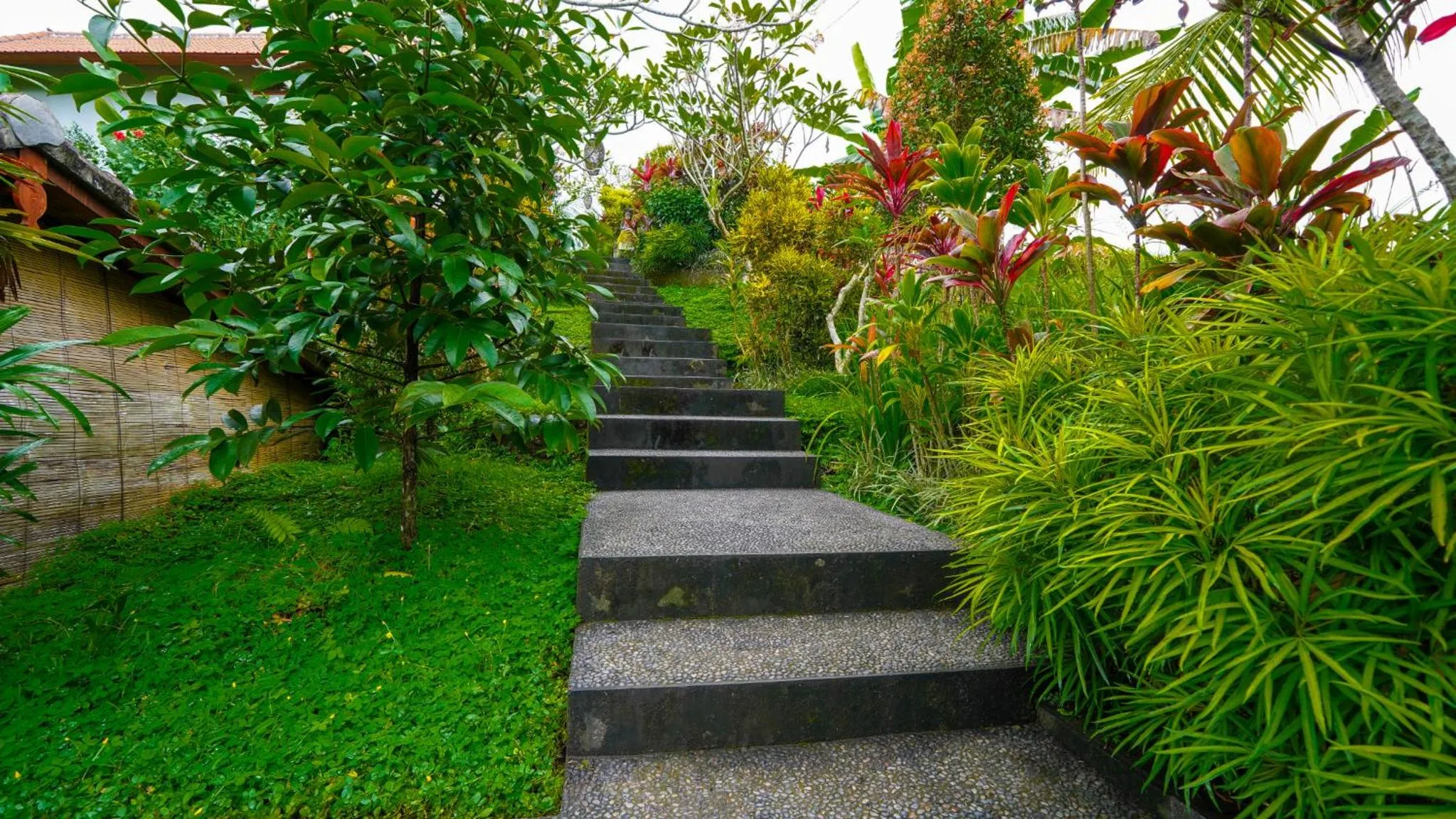 Garden view in Green Coconut Cottage