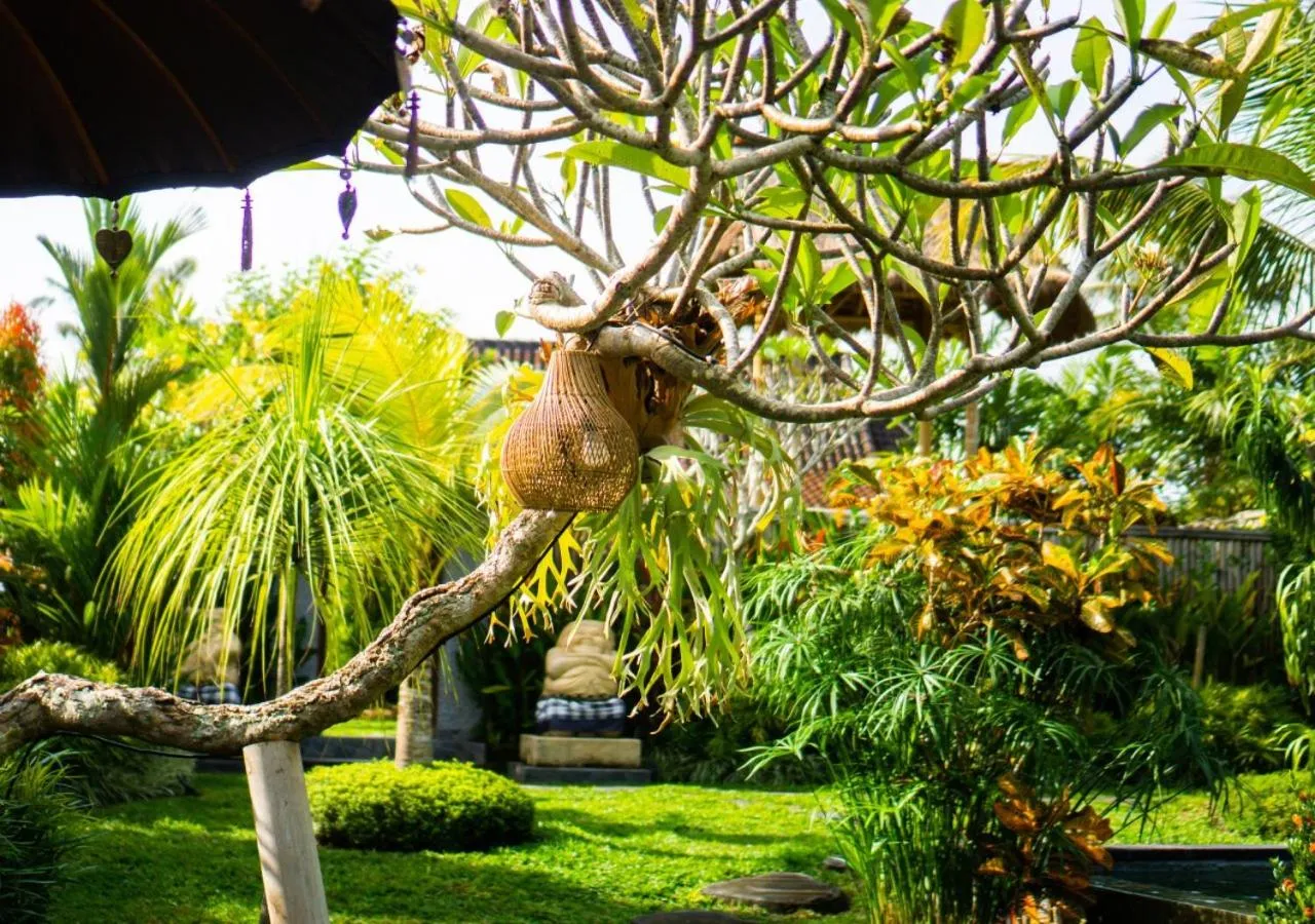 Day in Green Coconut Cottage