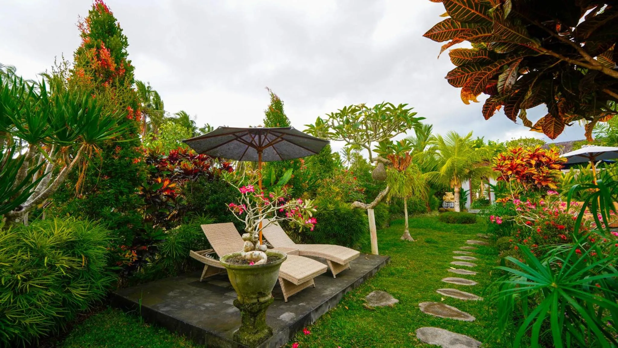 Garden view in Green Coconut Cottage