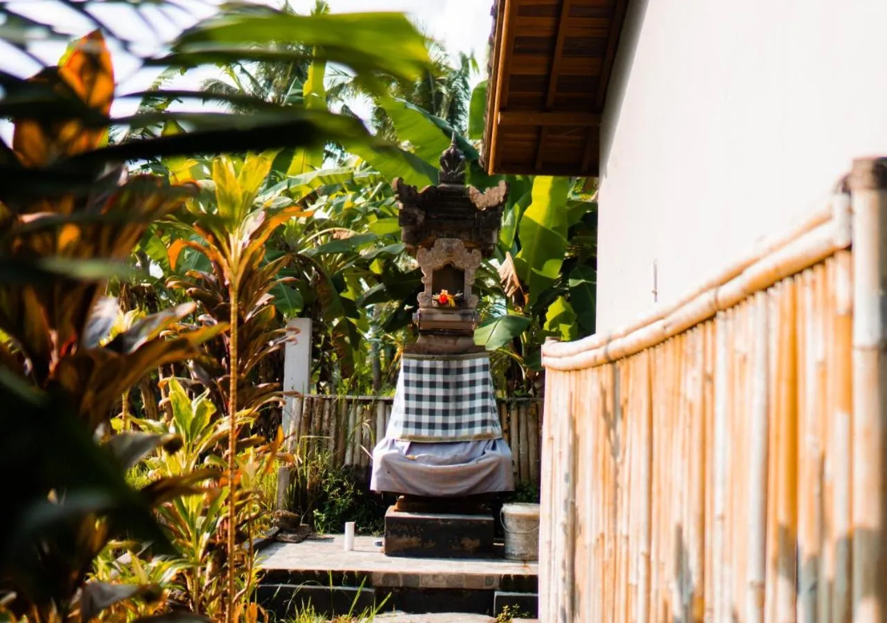 Day in Green Coconut Cottage