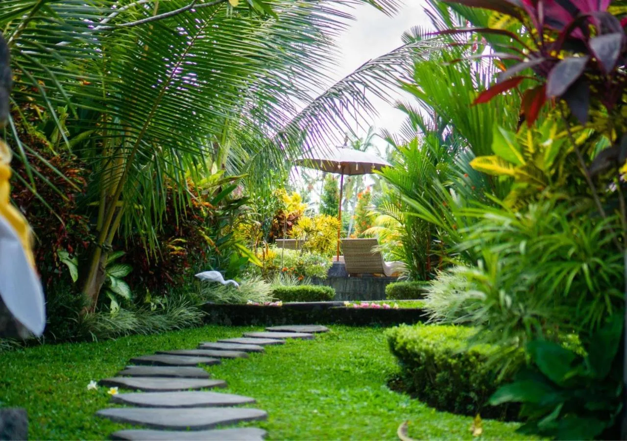 Spring in Green Coconut Cottage