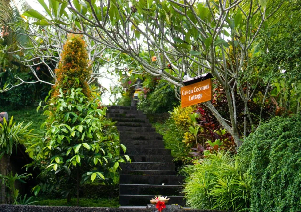 Natural landscape in Green Coconut Cottage