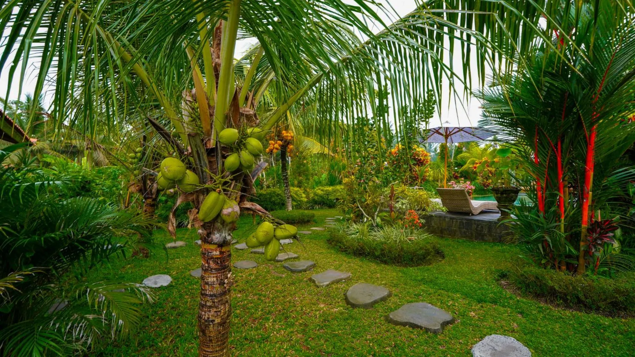Garden view in Green Coconut Cottage
