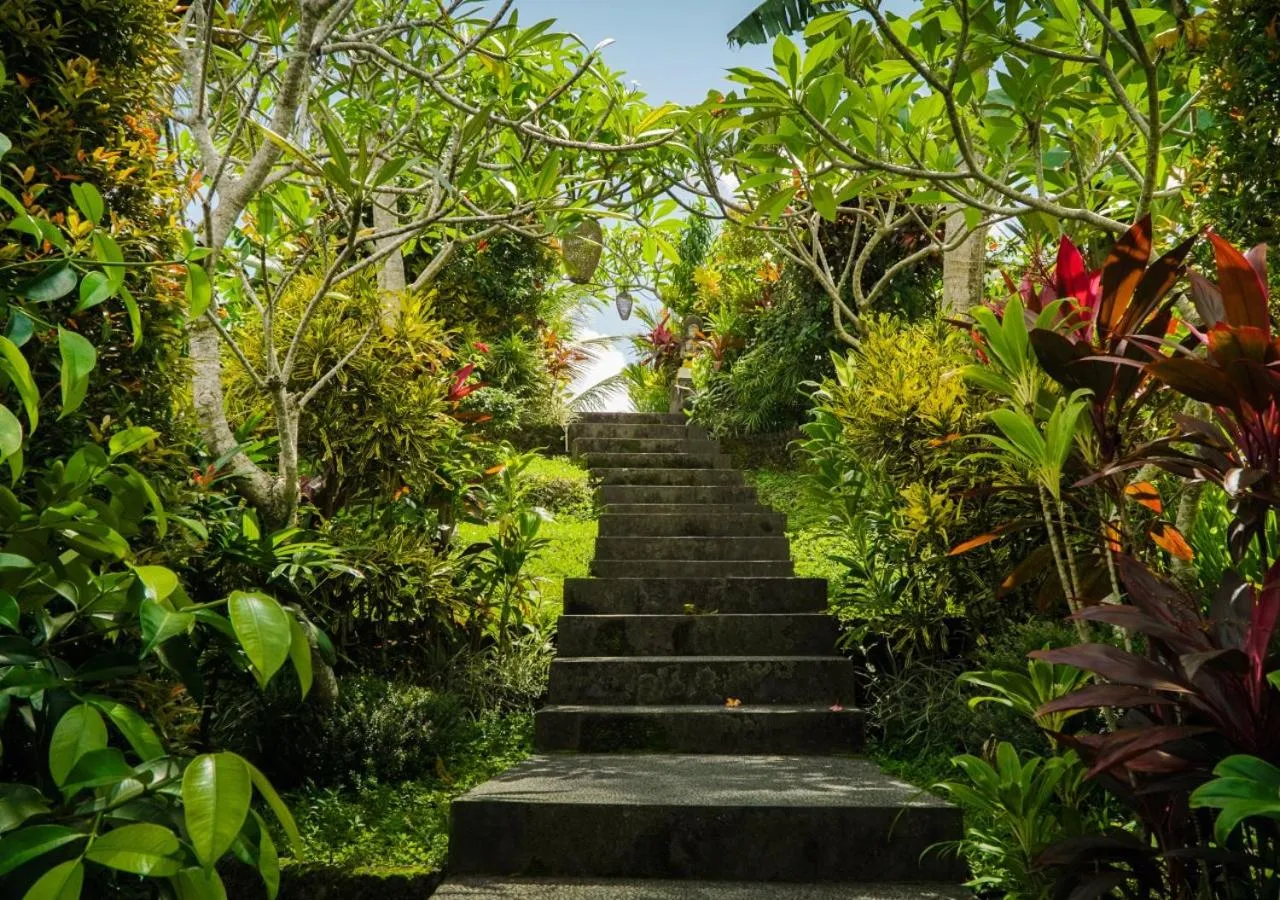 Garden in Green Coconut Cottage