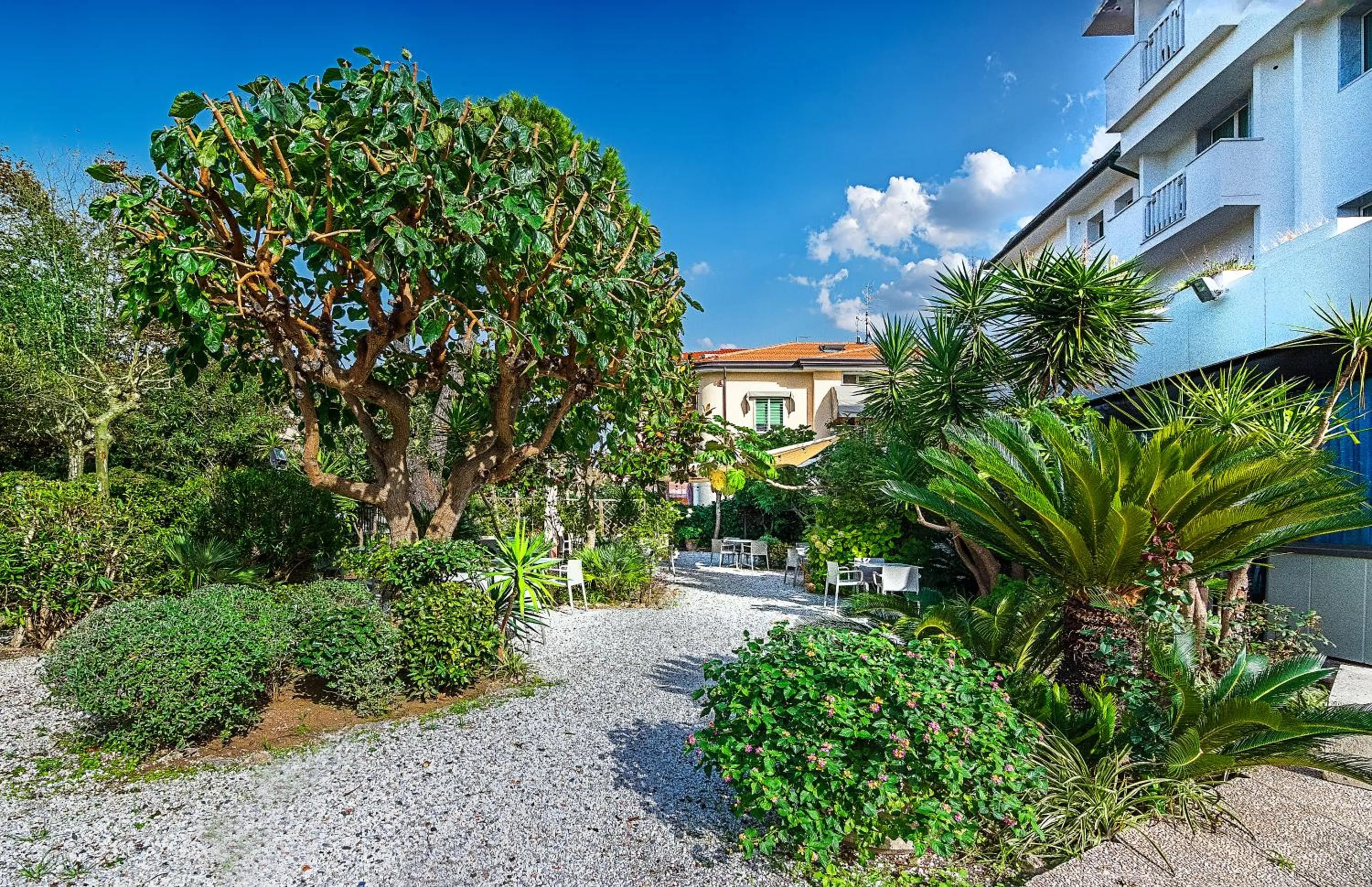 Garden in Hotel Mariotti