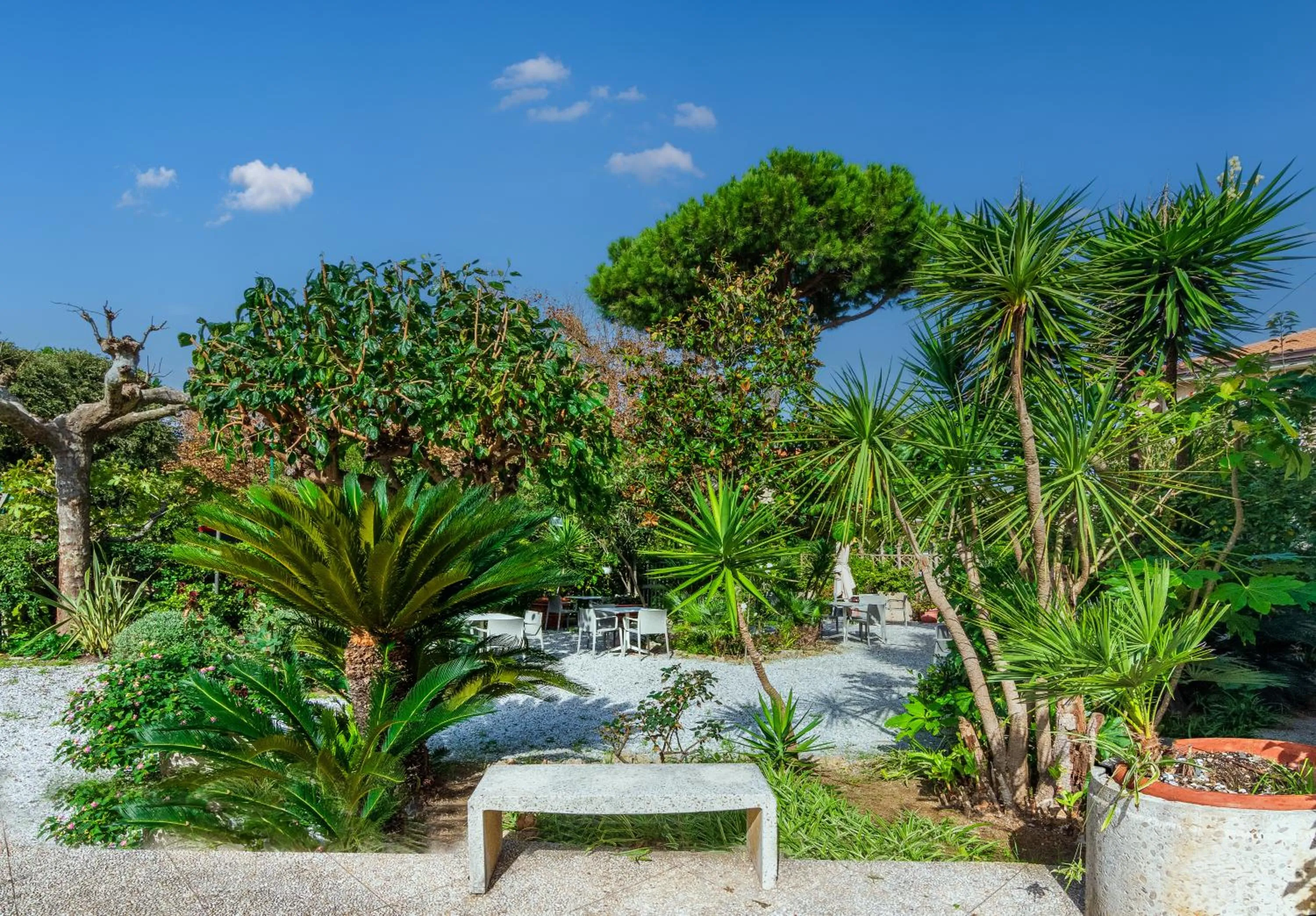 Garden in Hotel Mariotti