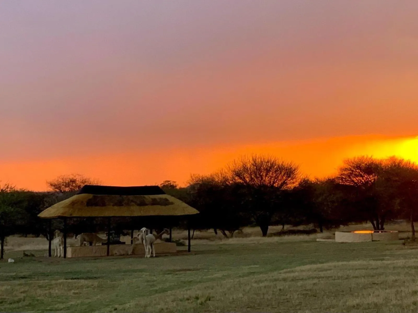 Natural landscape in Tula Baba Game Lodge