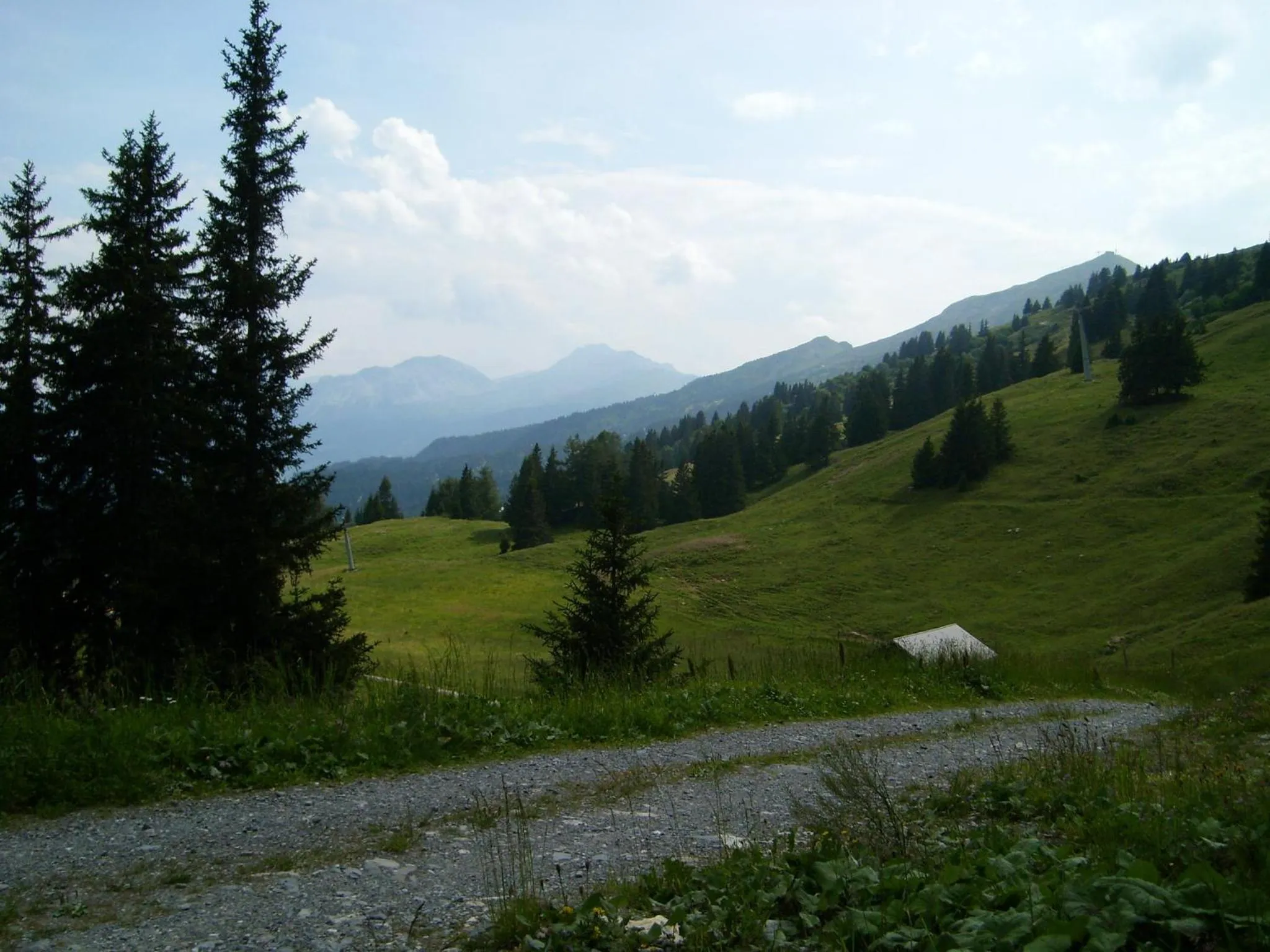 Other in Hotel Danis