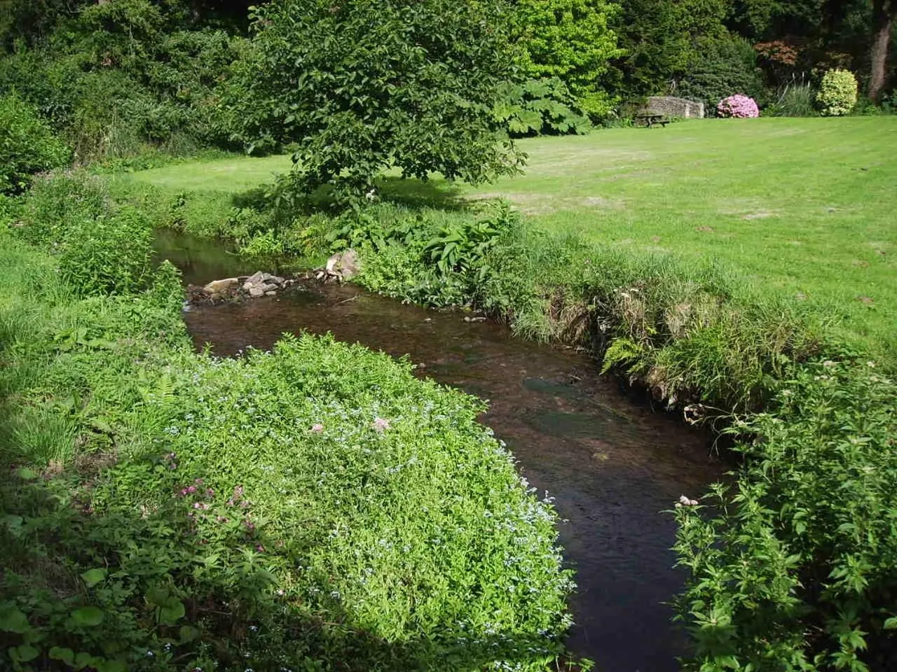 Day in Luxury Bed And Breakfast at Bossington Hall in Exmoor, Somerset