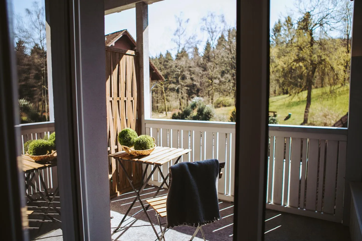 Photo of the whole room in Hotel Zur Burg Sternberg