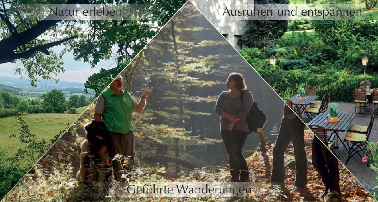 Activities in Hotel Zur Burg Sternberg