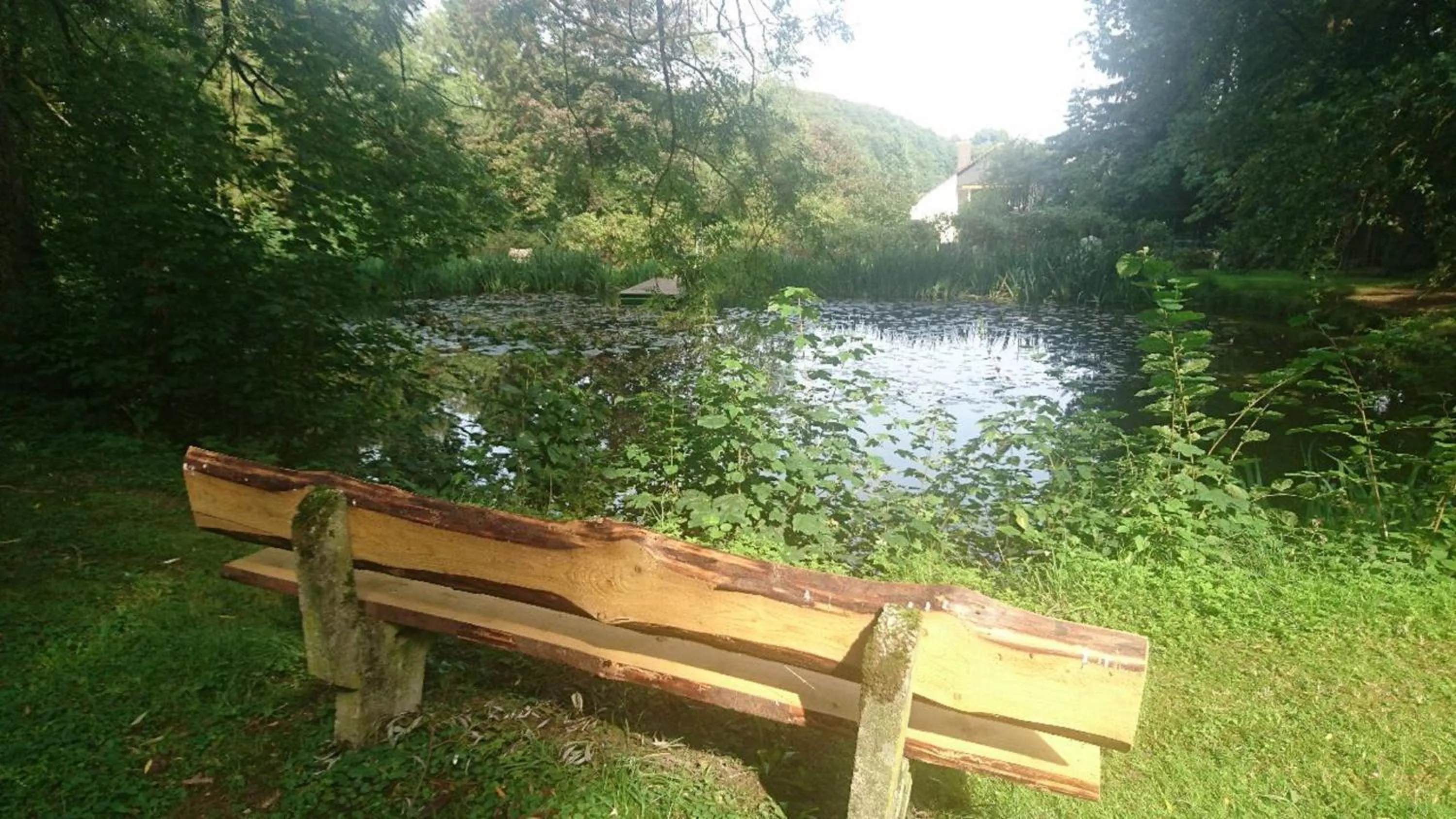 Garden in Hotel Zur Burg Sternberg