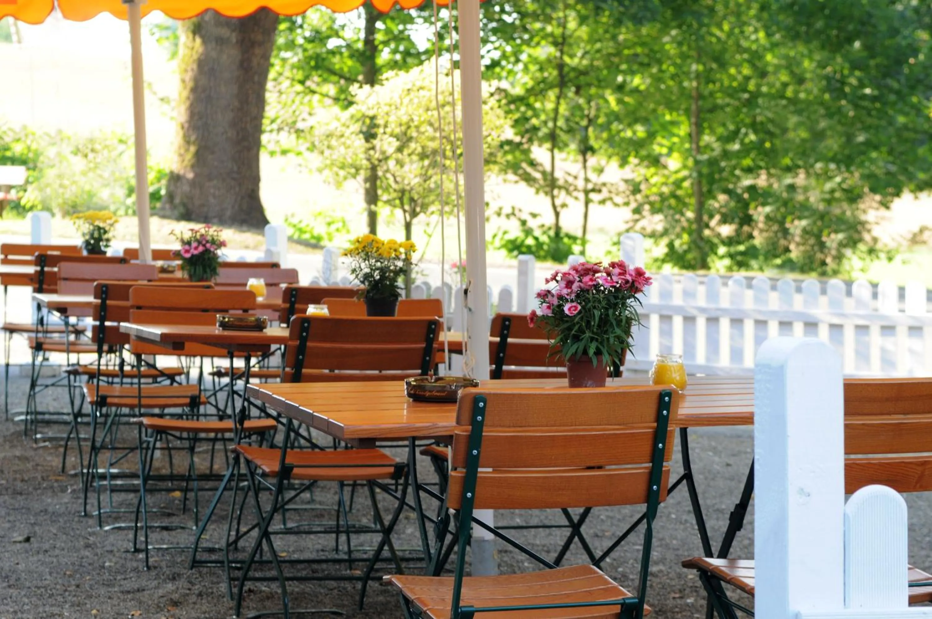 Balcony/Terrace in Hotel Zur Burg Sternberg
