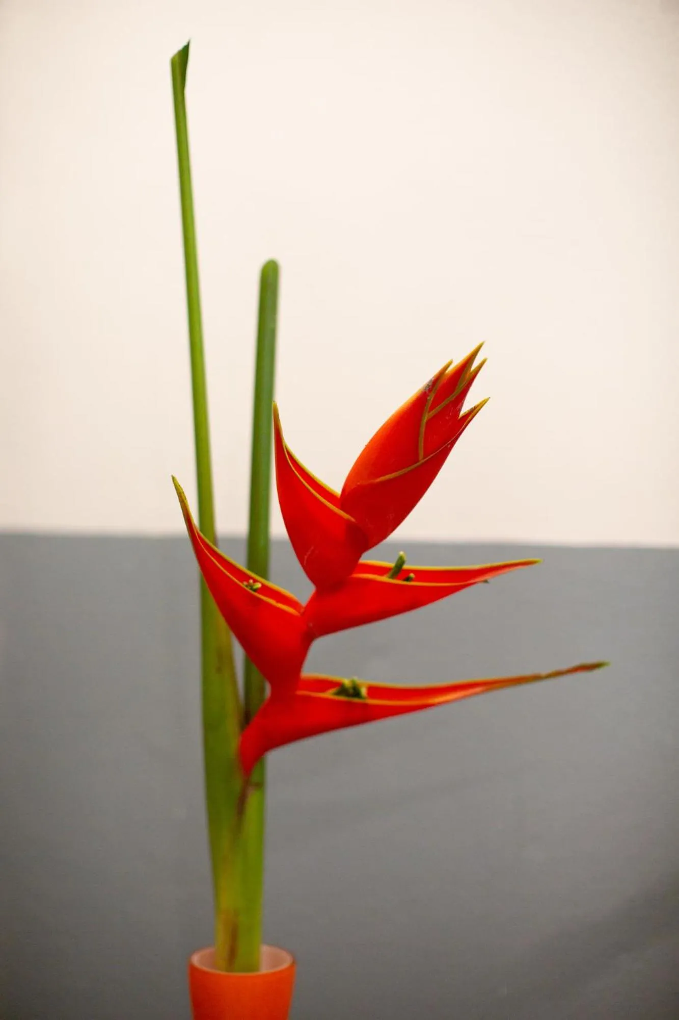 Phangnga Keeree Resort & Gallery